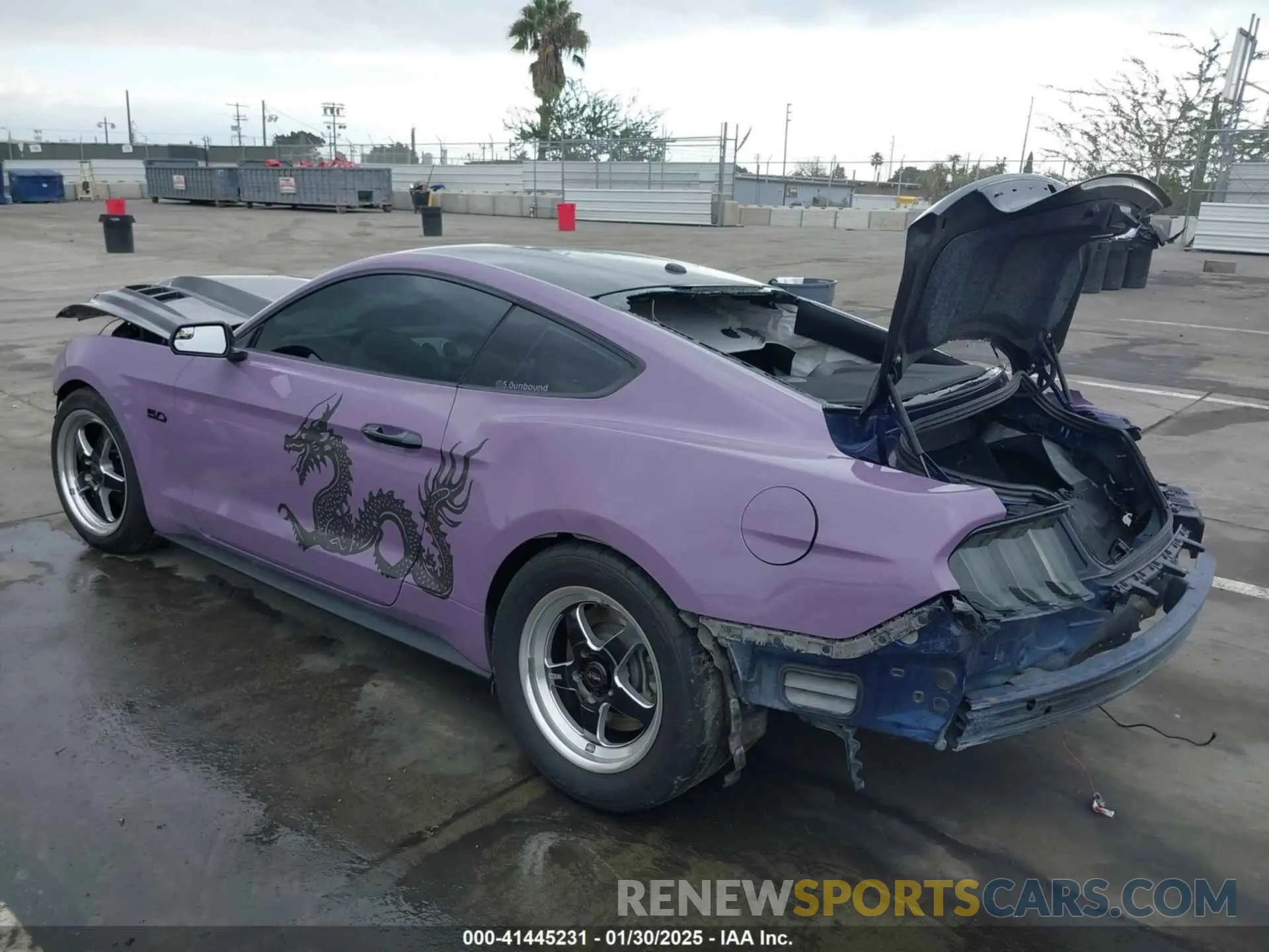 3 Photograph of a damaged car 1FA6P8CF5K5168135 FORD MUSTANG 2019