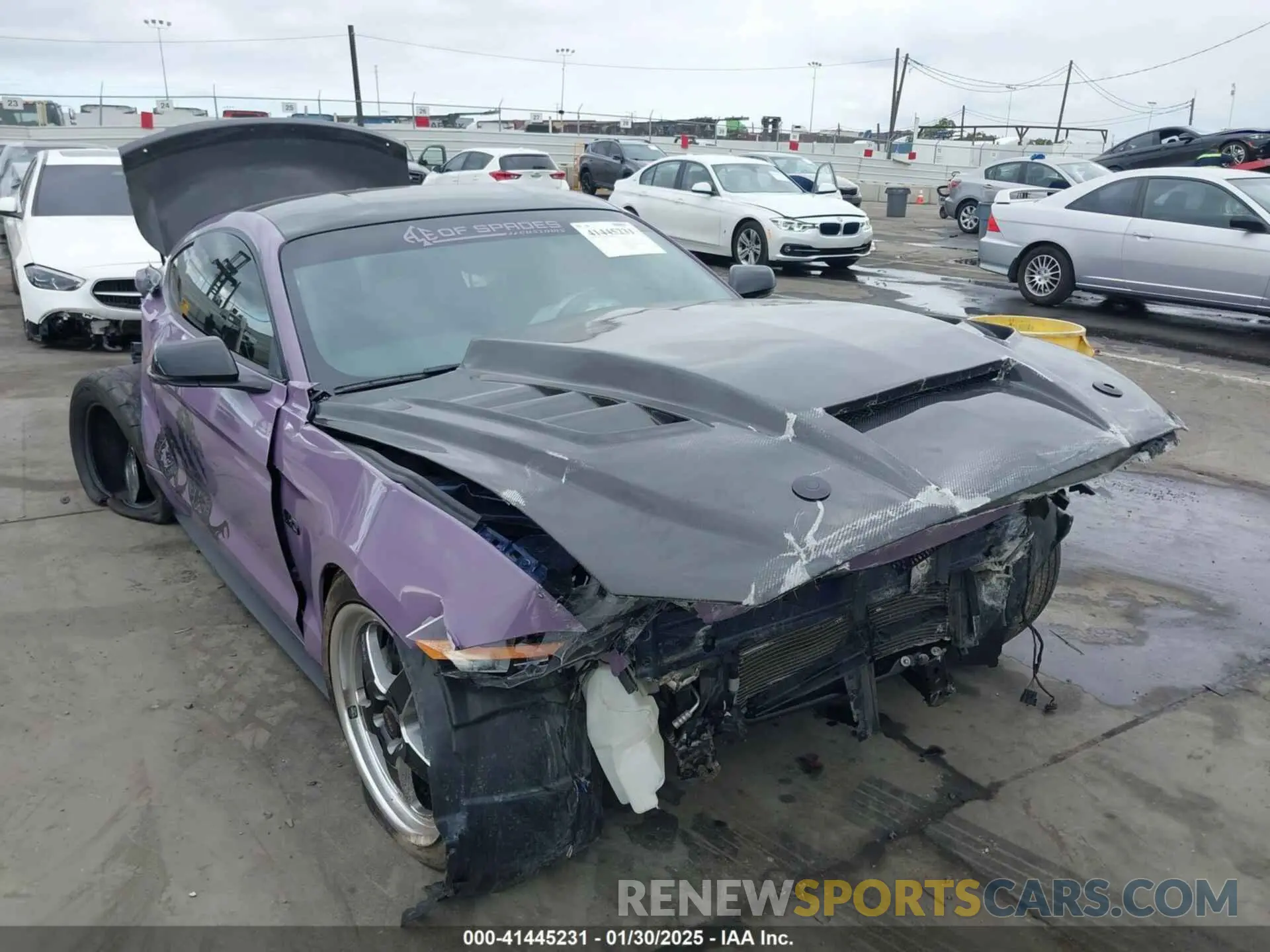 6 Photograph of a damaged car 1FA6P8CF5K5168135 FORD MUSTANG 2019