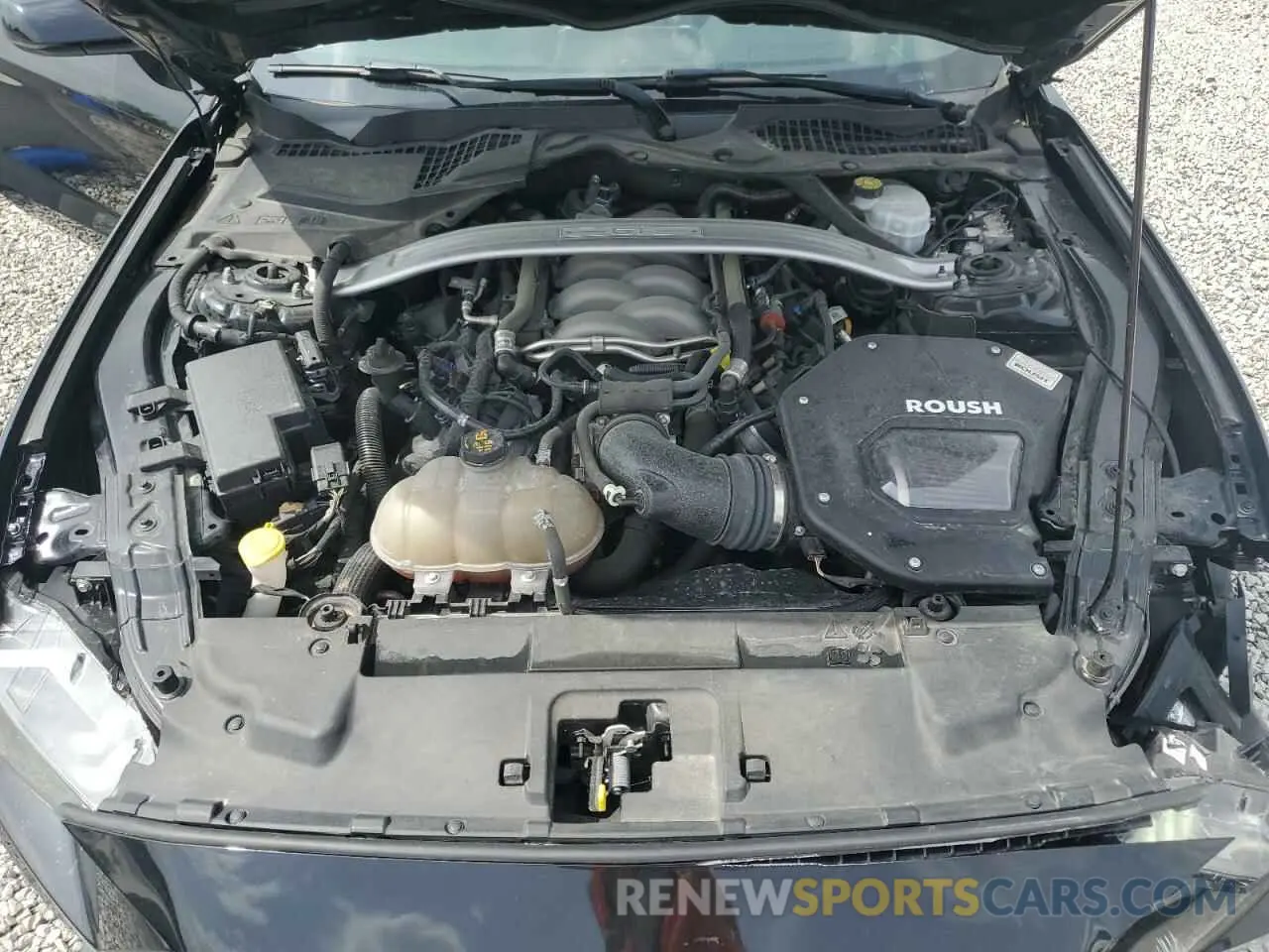 11 Photograph of a damaged car 1FA6P8CF5K5174615 FORD MUSTANG 2019