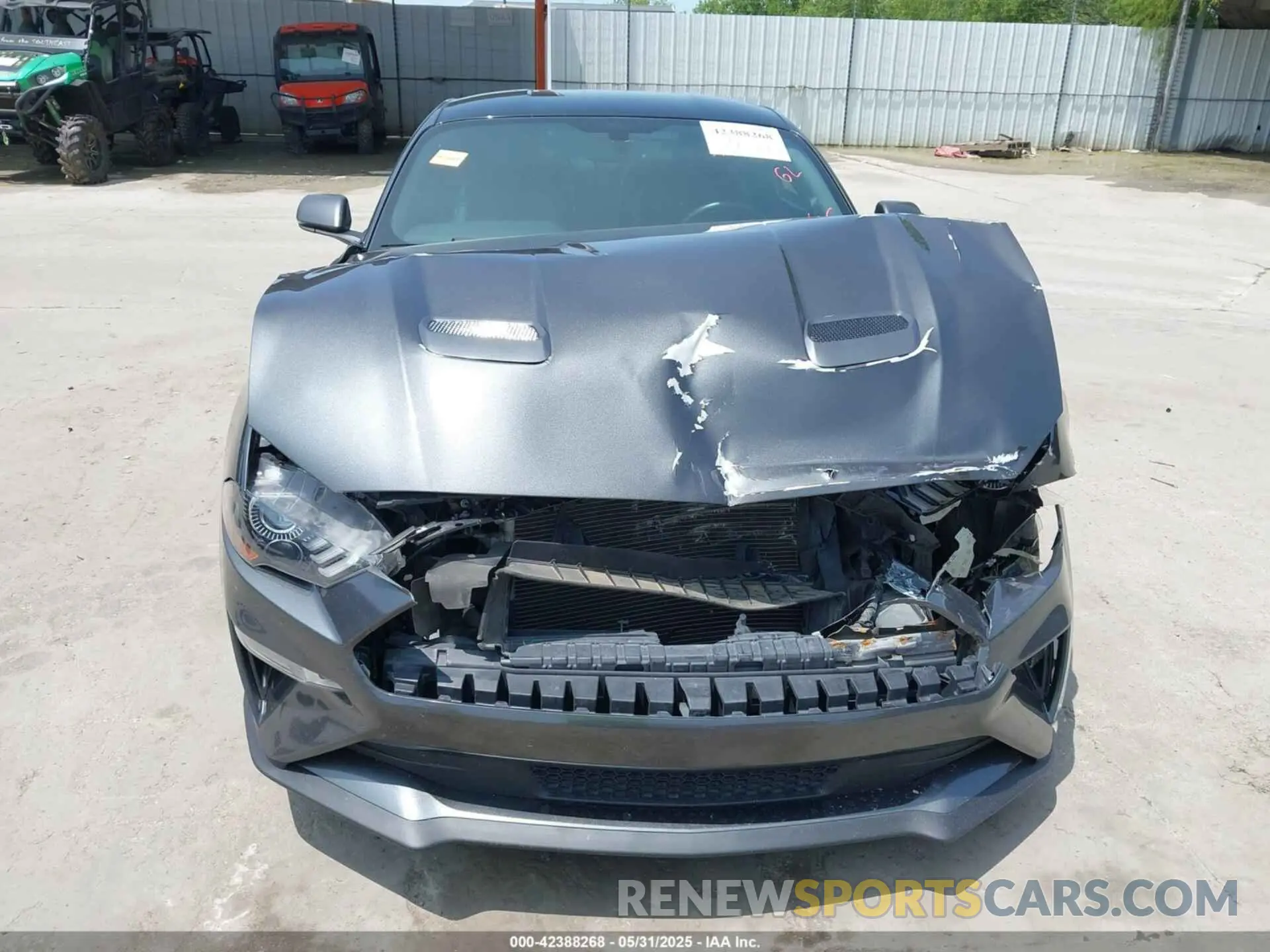 13 Photograph of a damaged car 1FA6P8CF5K5192418 FORD MUSTANG 2019