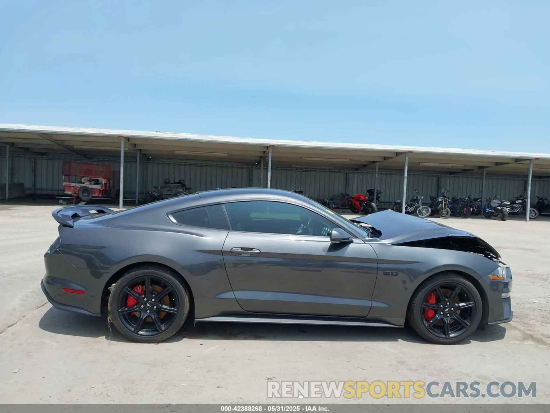 14 Photograph of a damaged car 1FA6P8CF5K5192418 FORD MUSTANG 2019