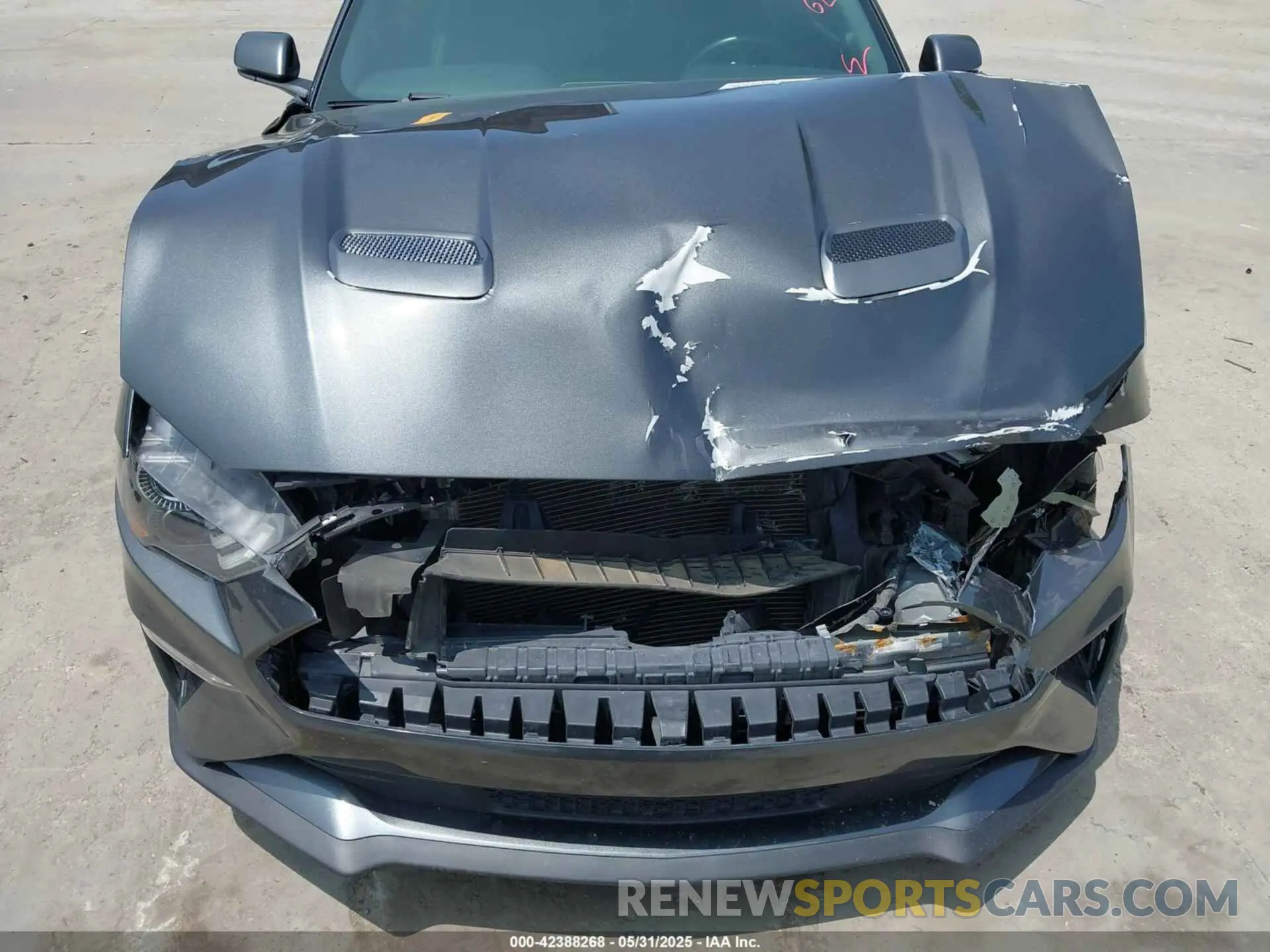 6 Photograph of a damaged car 1FA6P8CF5K5192418 FORD MUSTANG 2019