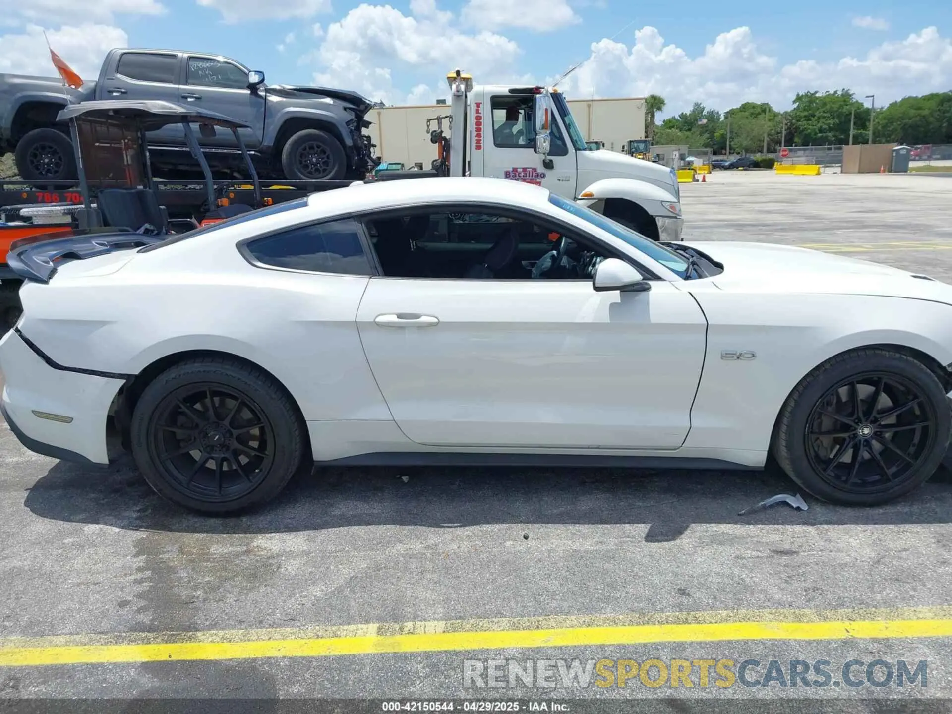 13 Photograph of a damaged car 1FA6P8CF6K5121986 FORD MUSTANG 2019
