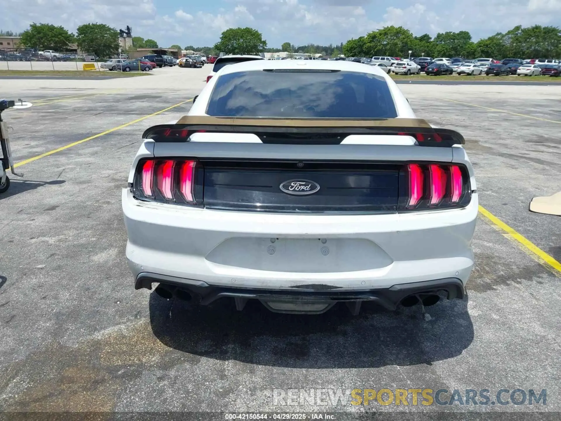 16 Photograph of a damaged car 1FA6P8CF6K5121986 FORD MUSTANG 2019
