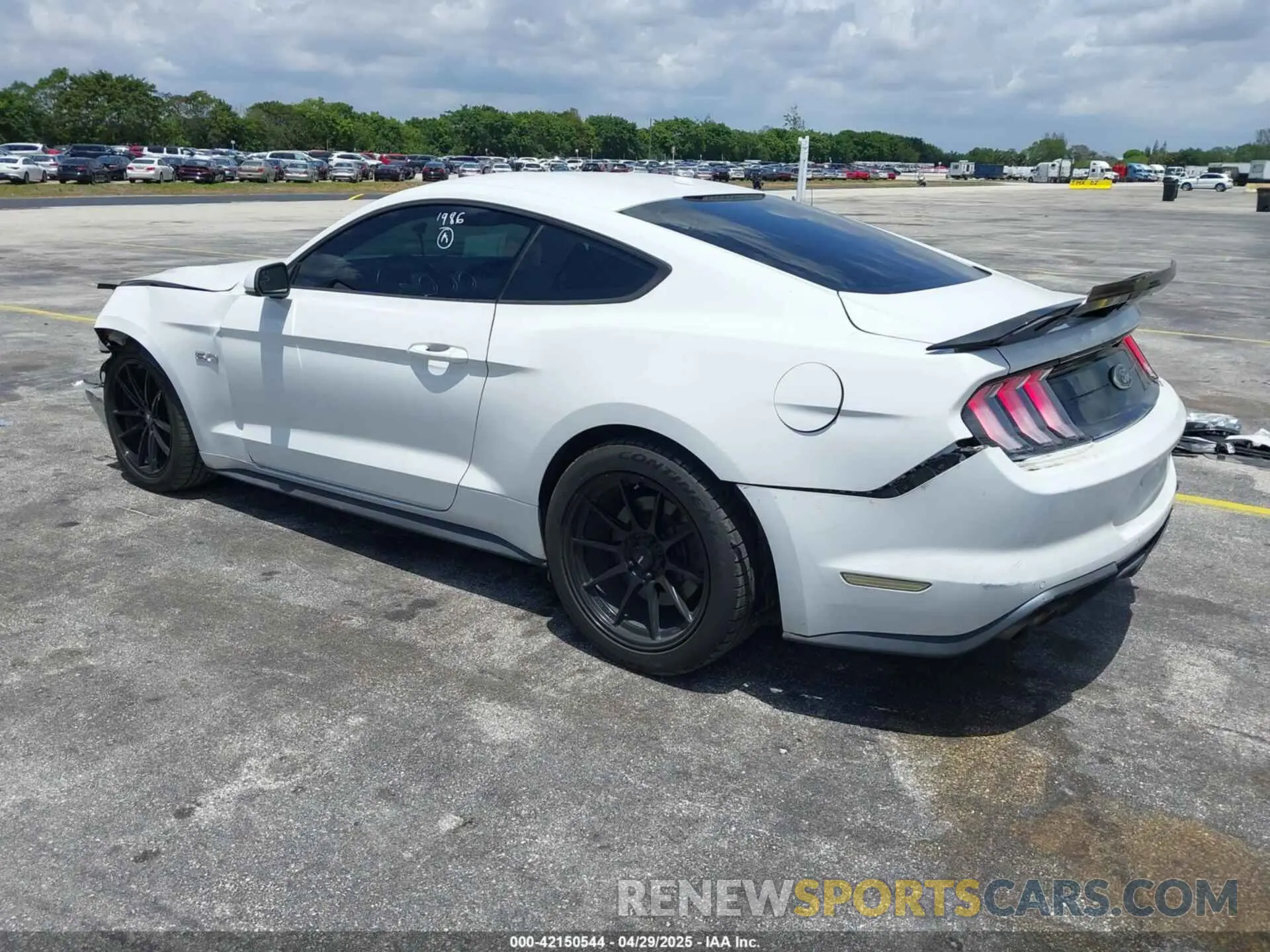 3 Photograph of a damaged car 1FA6P8CF6K5121986 FORD MUSTANG 2019