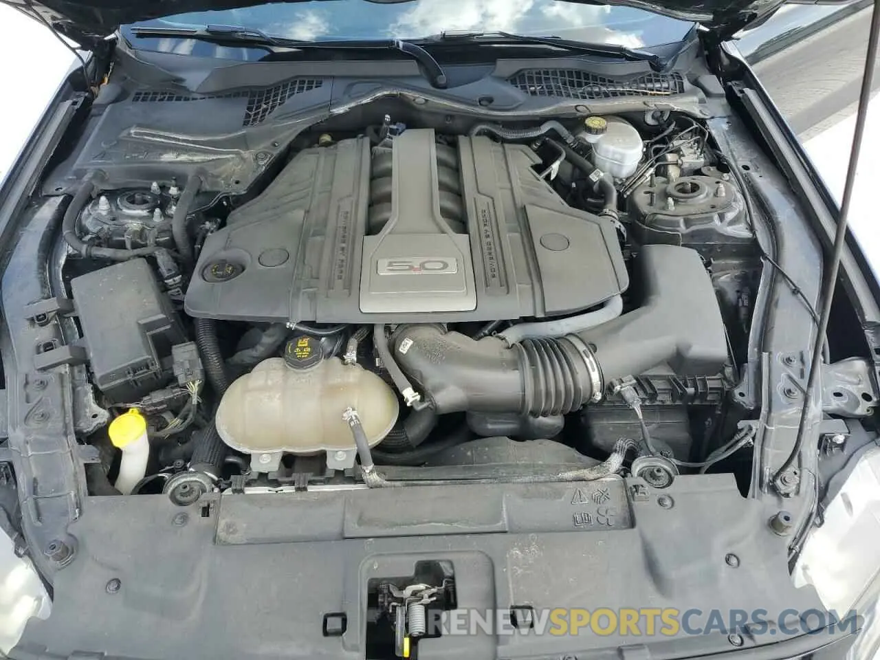 11 Photograph of a damaged car 1FA6P8CF6K5122362 FORD MUSTANG 2019