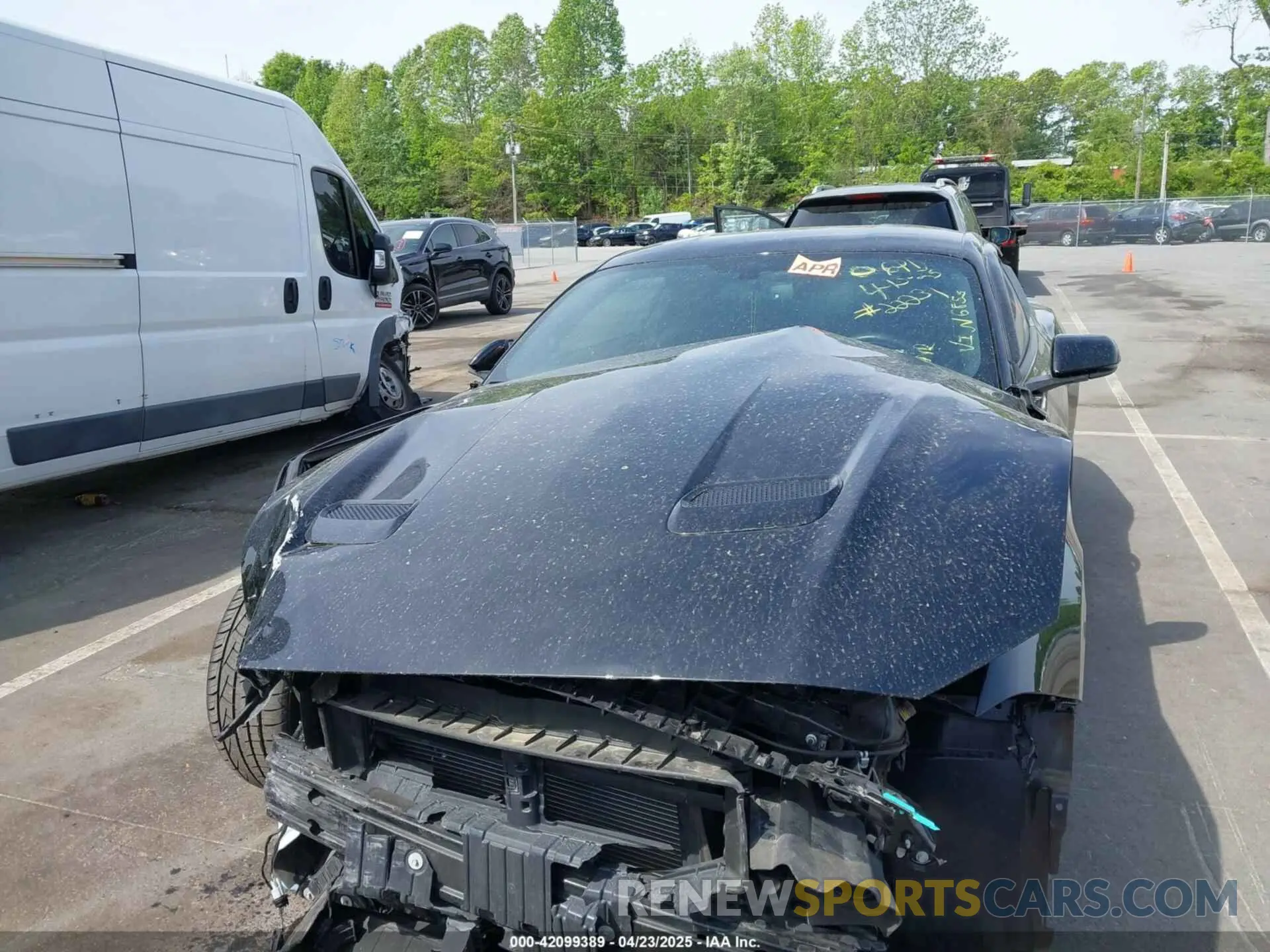 12 Photograph of a damaged car 1FA6P8CF6K5146855 FORD MUSTANG 2019