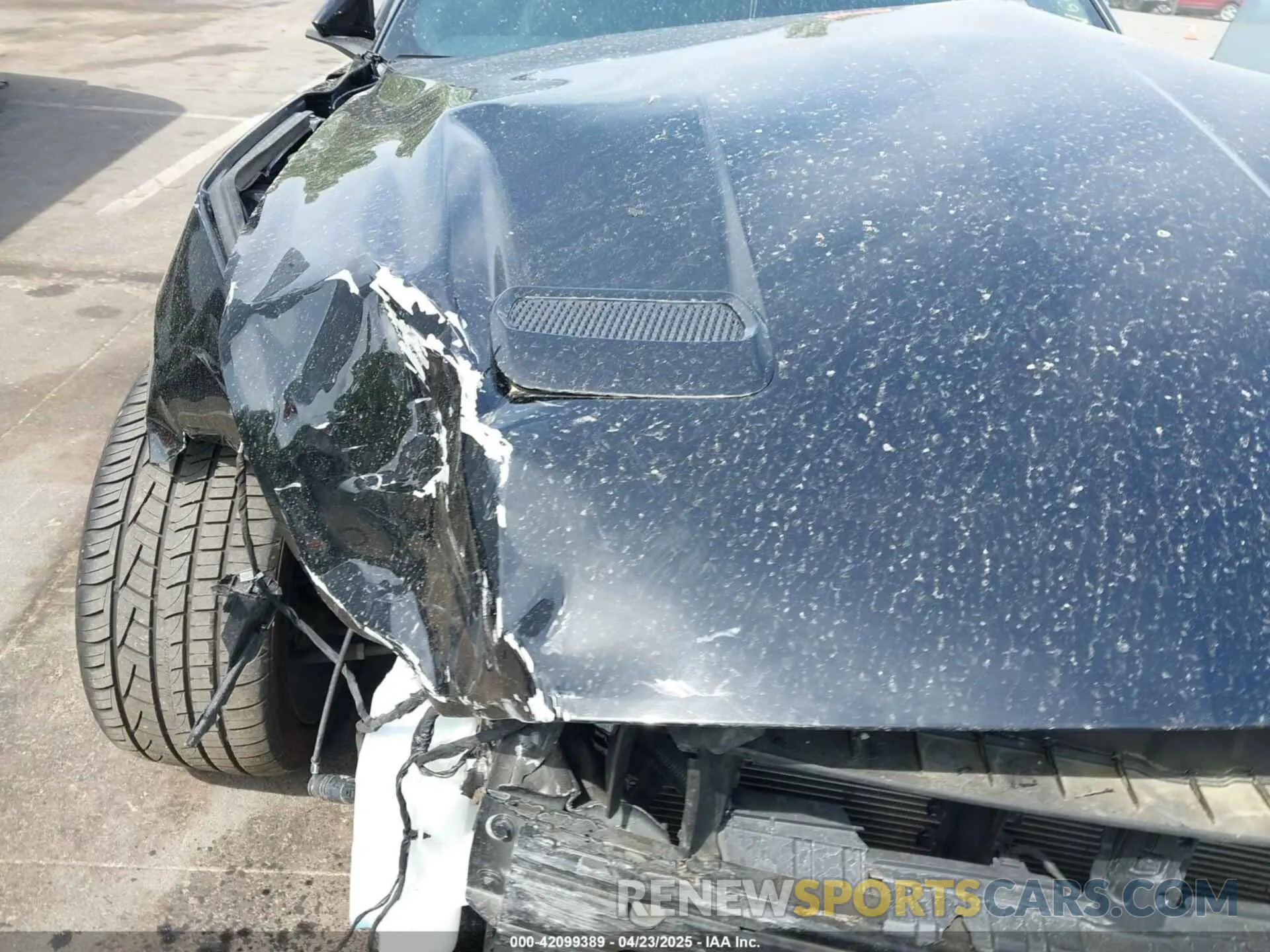 18 Photograph of a damaged car 1FA6P8CF6K5146855 FORD MUSTANG 2019