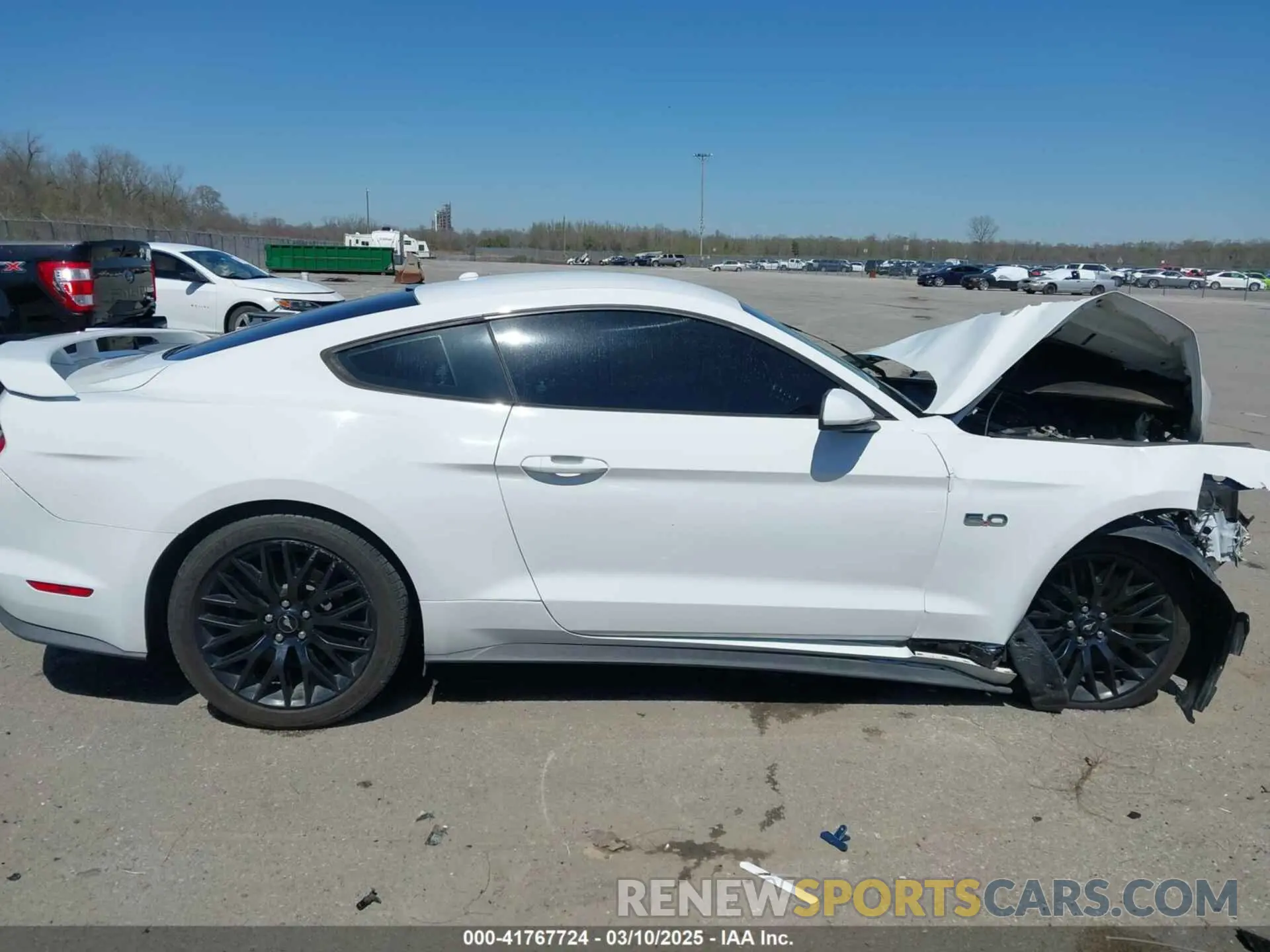 12 Photograph of a damaged car 1FA6P8CF6K5152462 FORD MUSTANG 2019