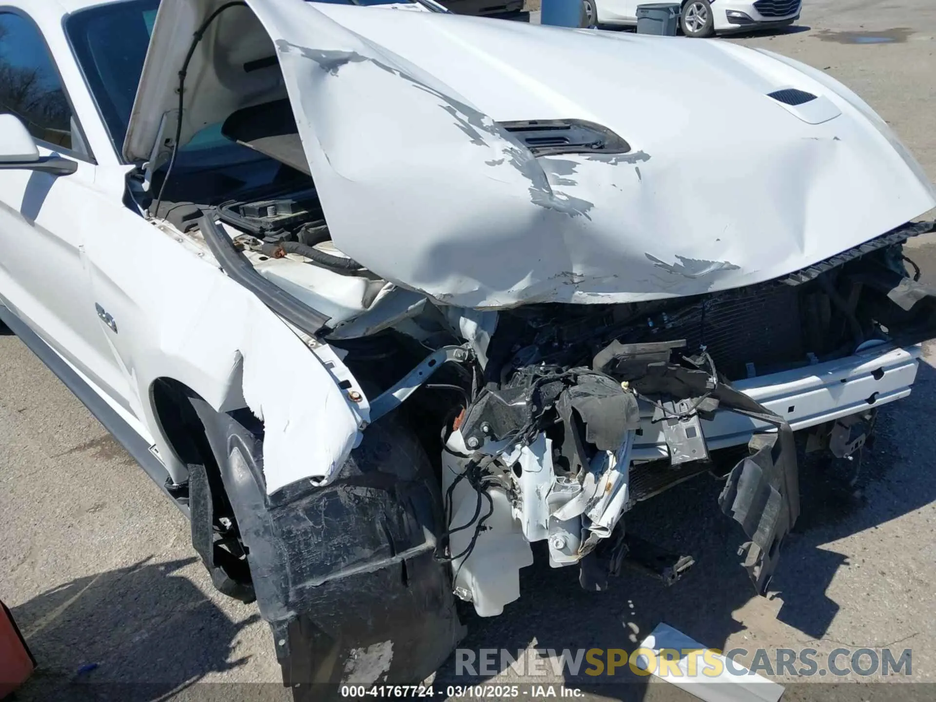 6 Photograph of a damaged car 1FA6P8CF6K5152462 FORD MUSTANG 2019