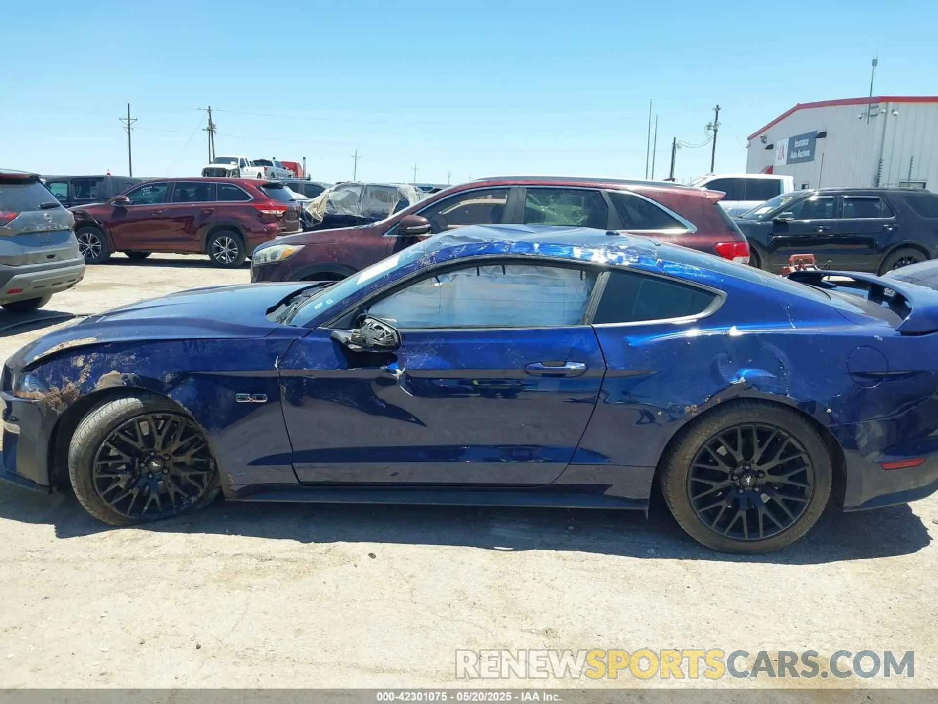 13 Photograph of a damaged car 1FA6P8CF6K5163459 FORD MUSTANG 2019