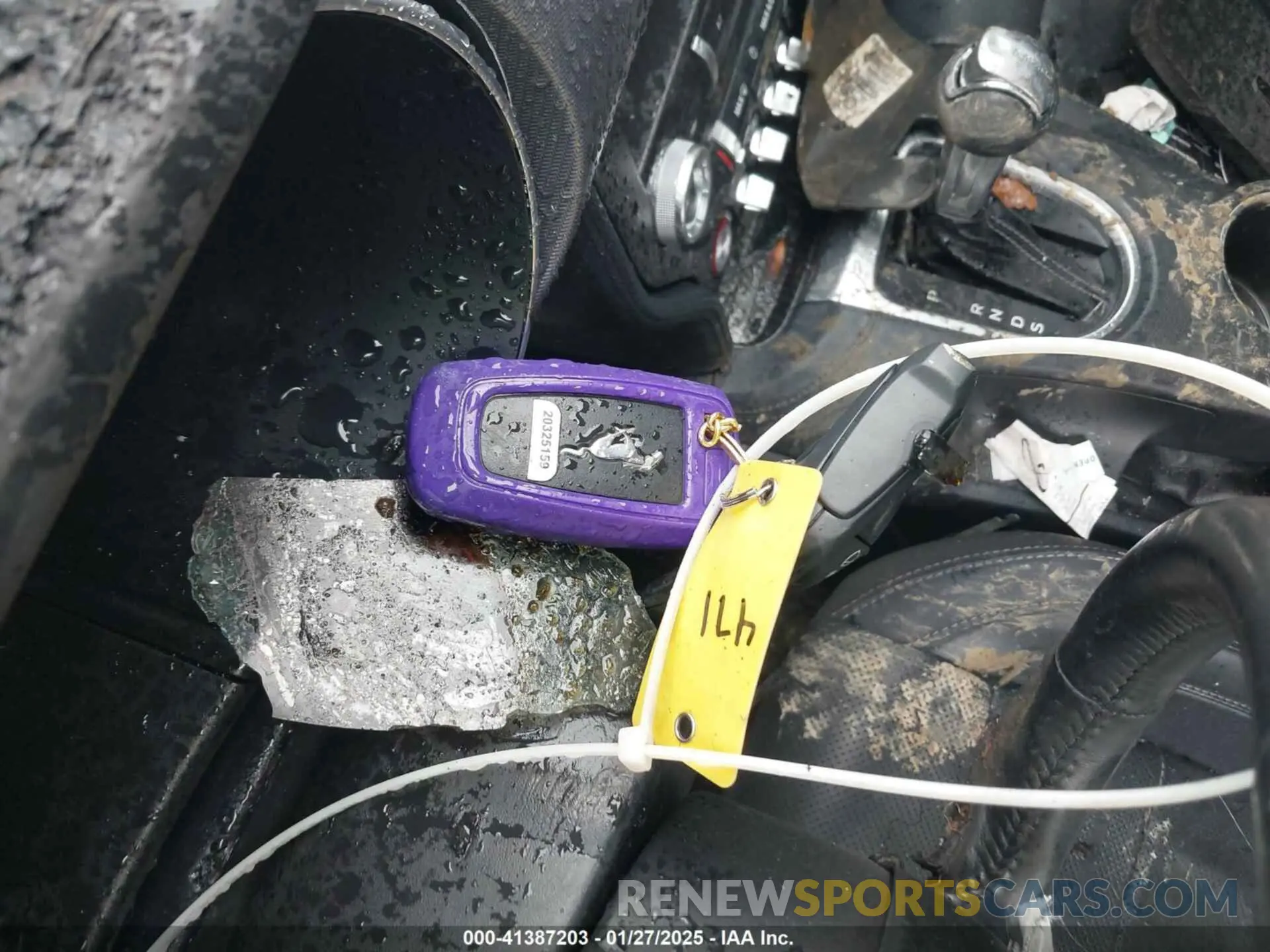 11 Photograph of a damaged car 1FA6P8CF6K5163753 FORD MUSTANG 2019