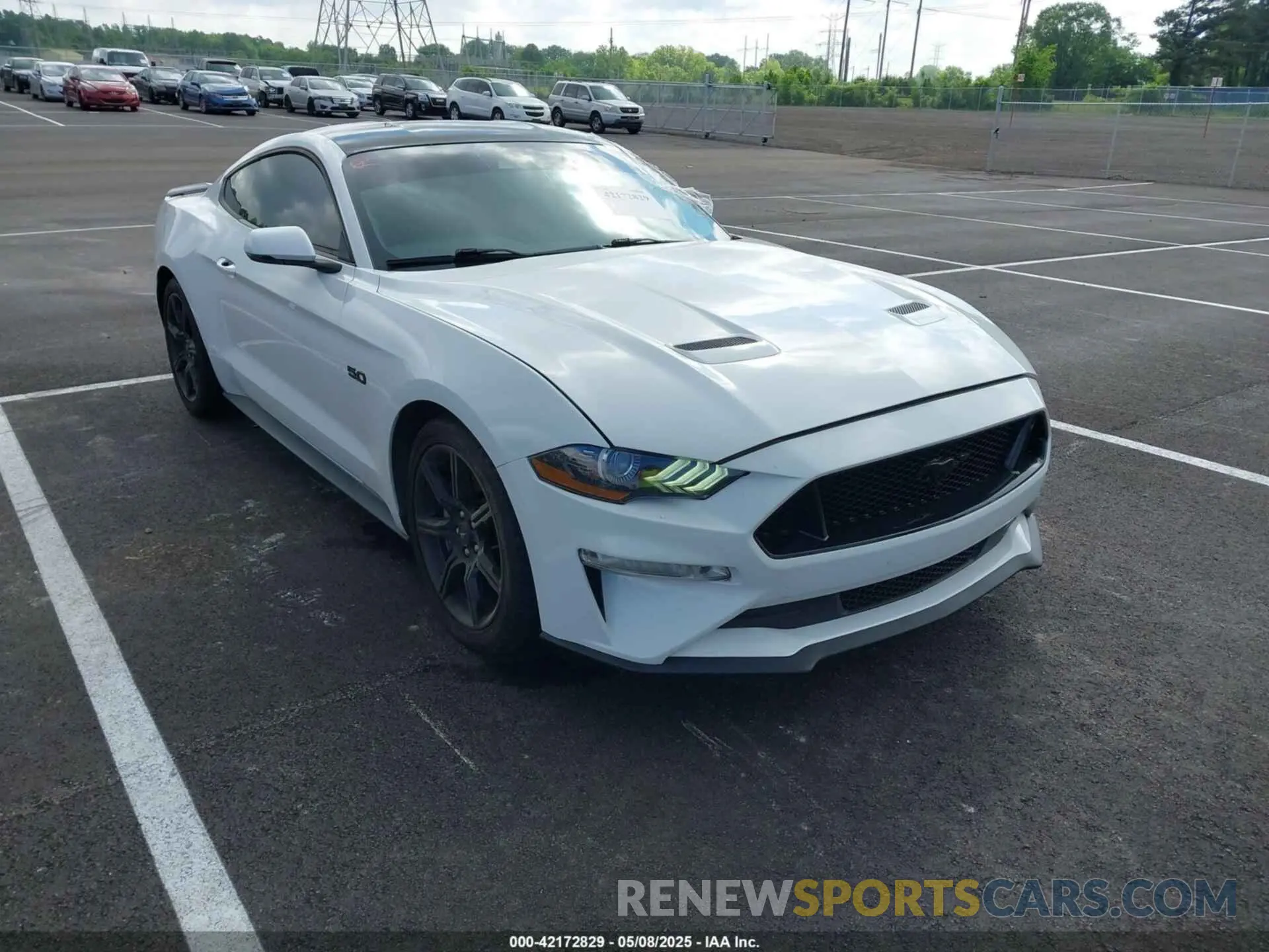 1 Photograph of a damaged car 1FA6P8CF6K5173649 FORD MUSTANG 2019