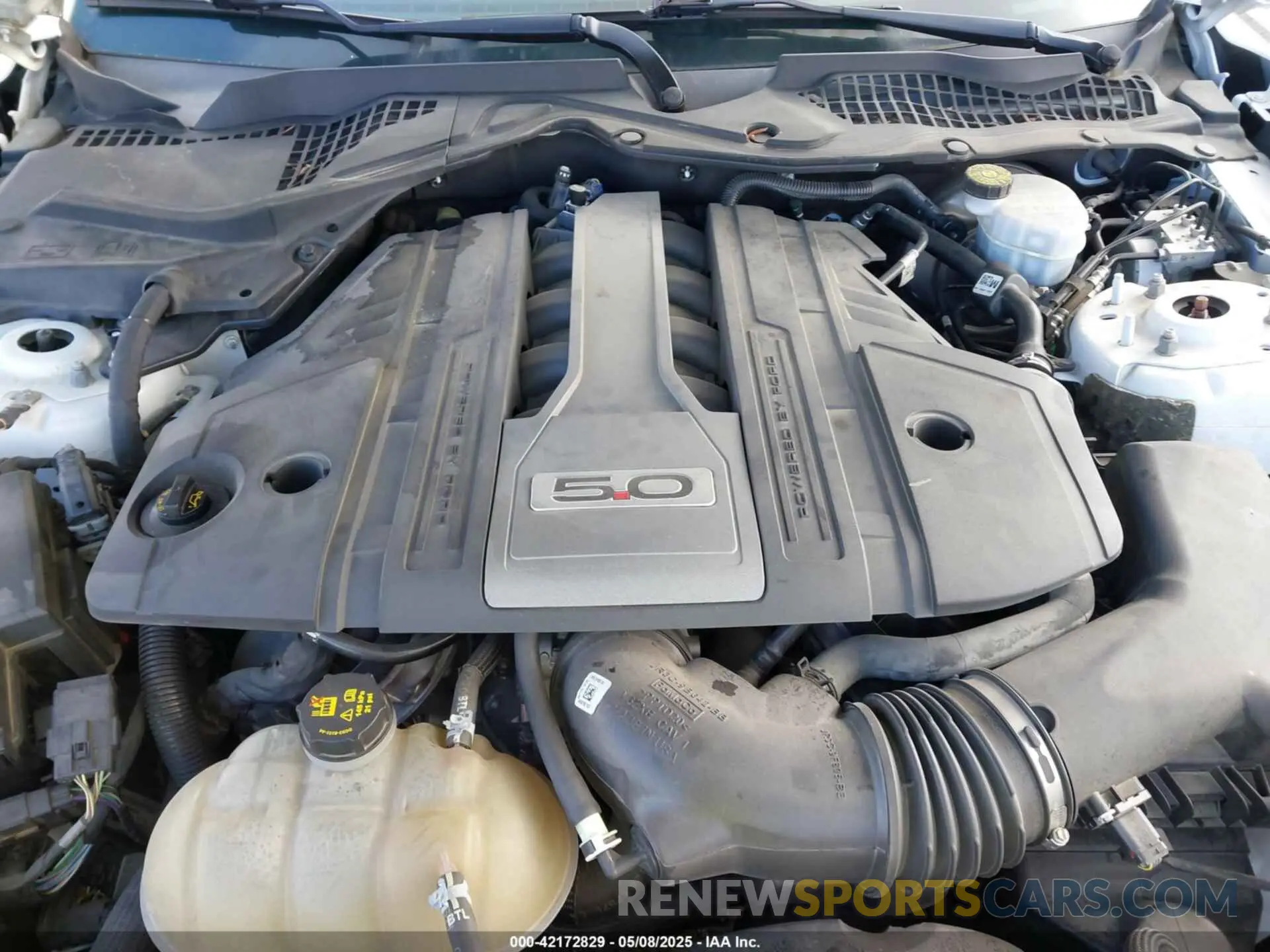 10 Photograph of a damaged car 1FA6P8CF6K5173649 FORD MUSTANG 2019