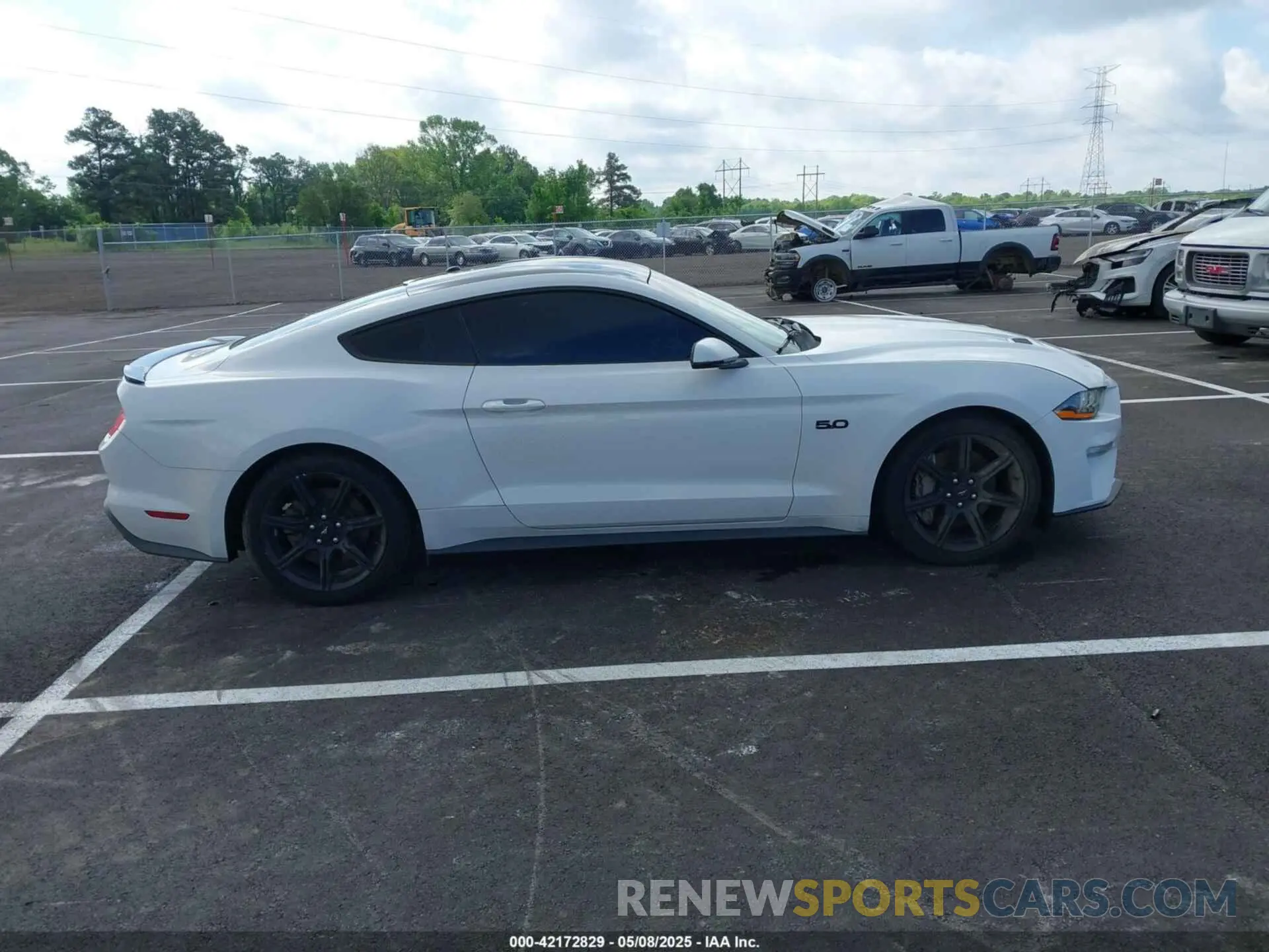 13 Photograph of a damaged car 1FA6P8CF6K5173649 FORD MUSTANG 2019