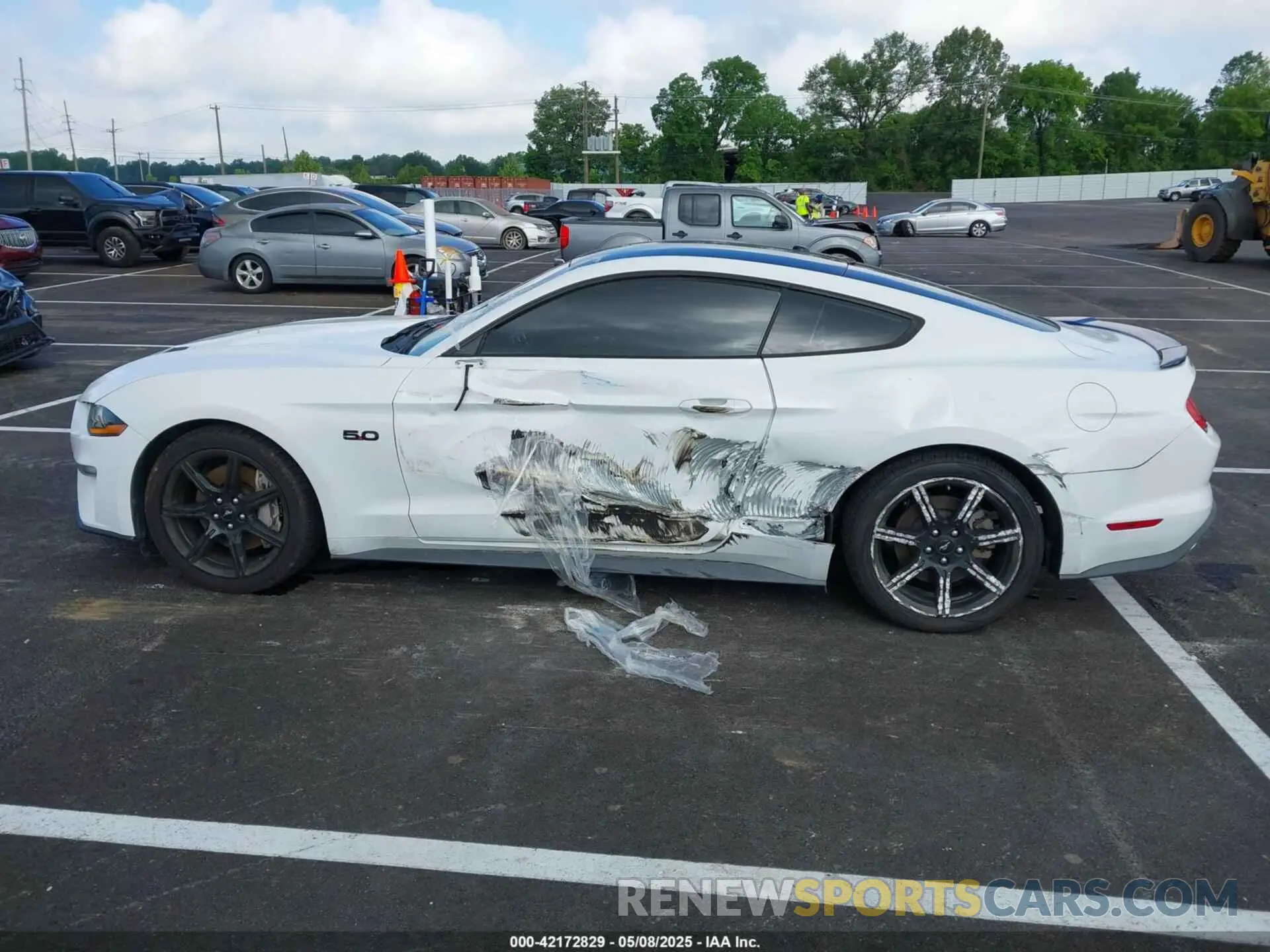 14 Photograph of a damaged car 1FA6P8CF6K5173649 FORD MUSTANG 2019