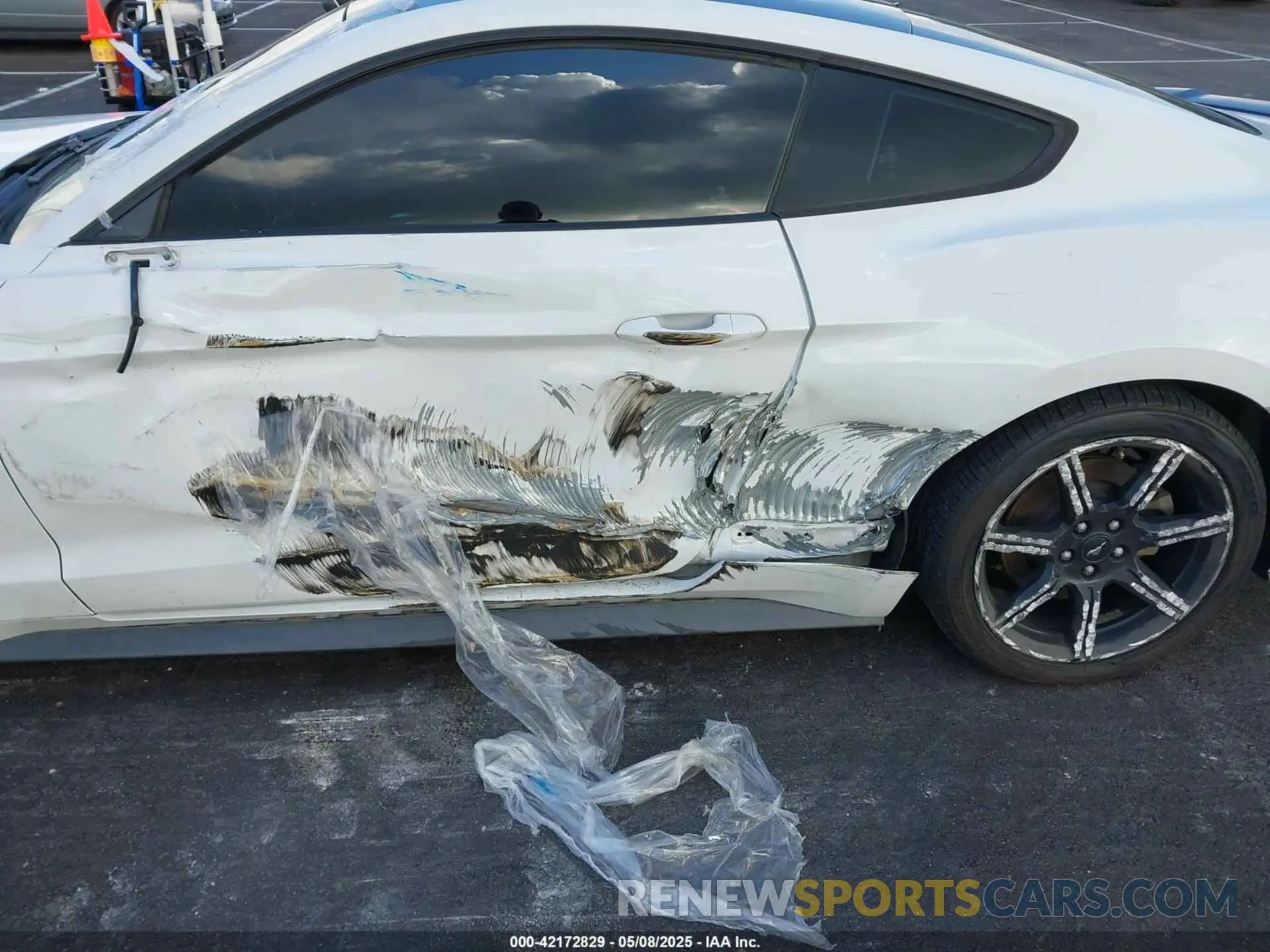 6 Photograph of a damaged car 1FA6P8CF6K5173649 FORD MUSTANG 2019