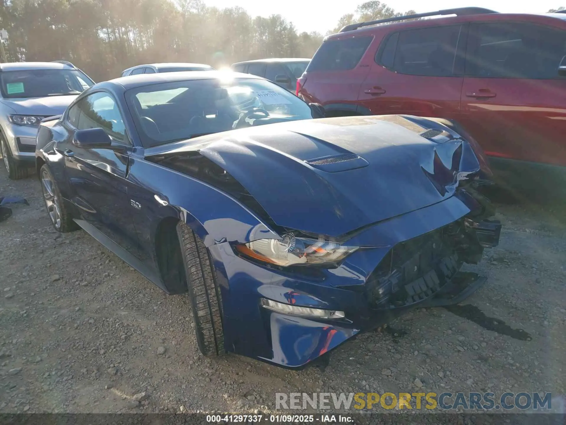 13 Photograph of a damaged car 1FA6P8CF6K5174221 FORD MUSTANG 2019