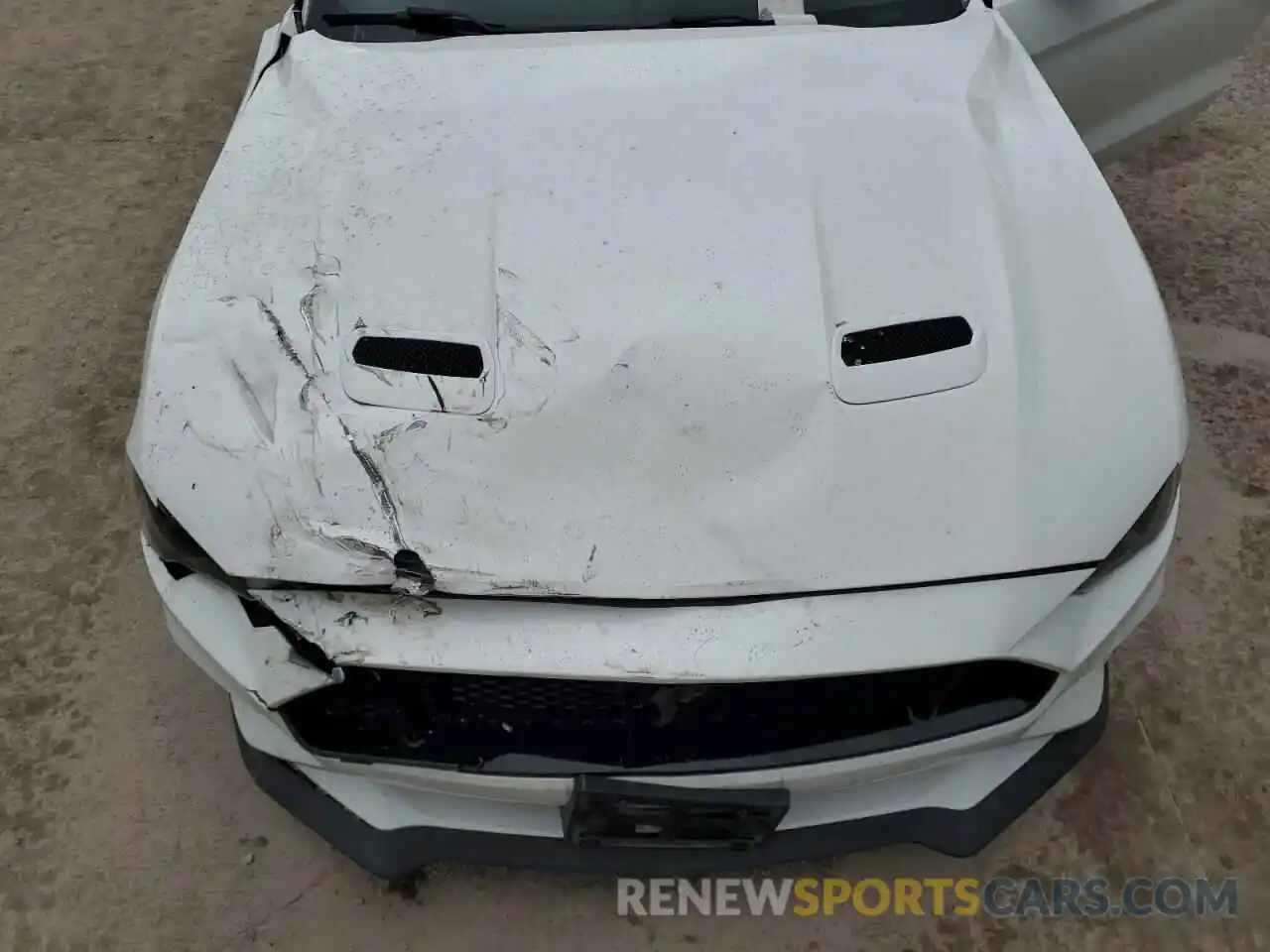 11 Photograph of a damaged car 1FA6P8CF6K5174798 FORD MUSTANG 2019