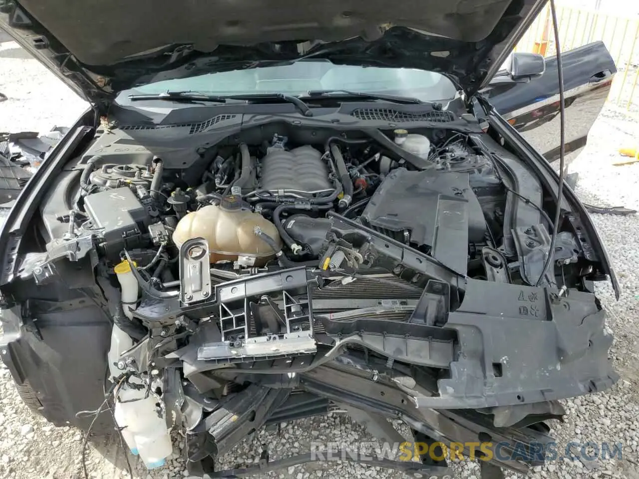 11 Photograph of a damaged car 1FA6P8CF6K5200705 FORD MUSTANG 2019