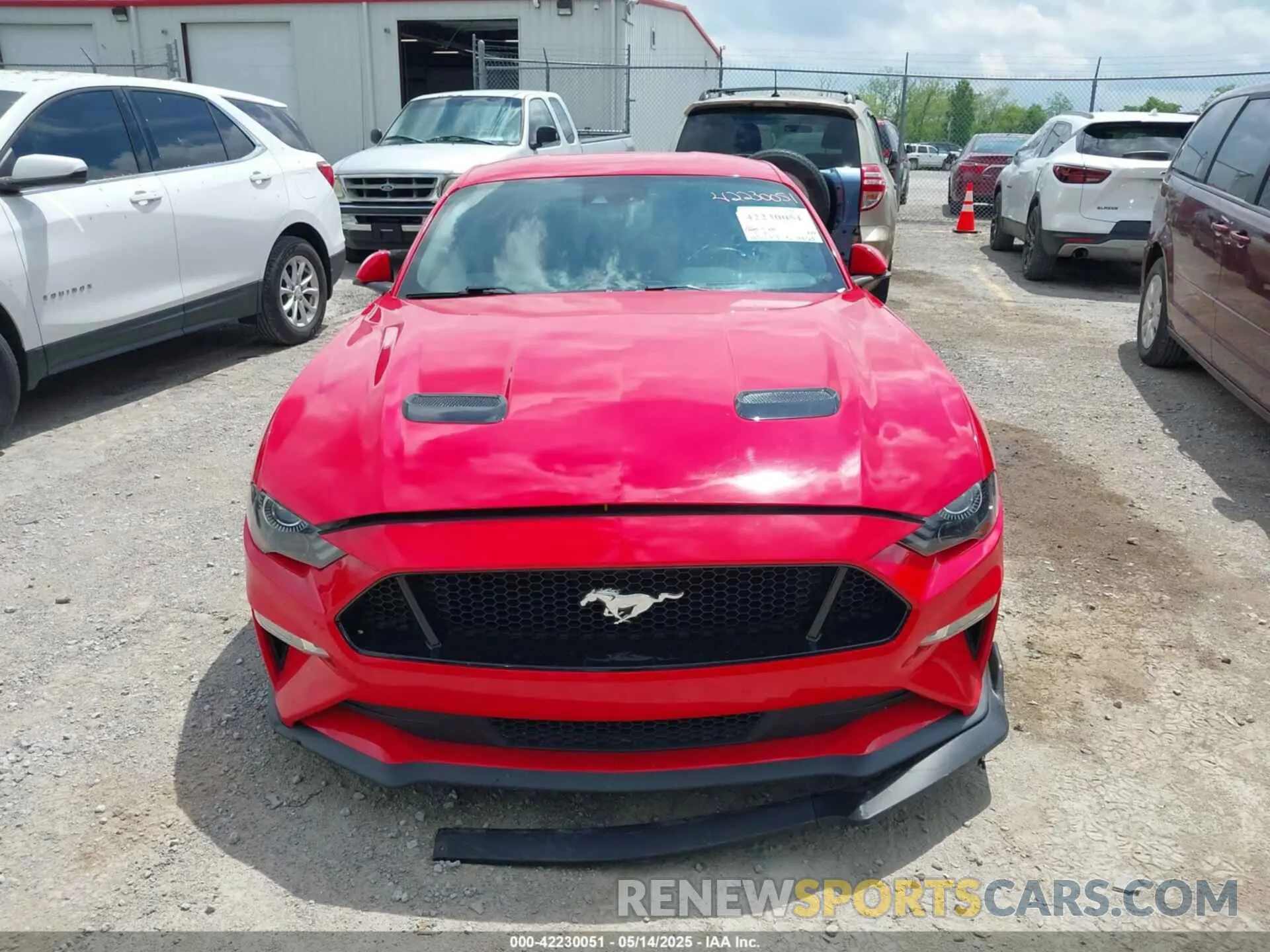 12 Photograph of a damaged car 1FA6P8CF7K5124590 FORD MUSTANG 2019