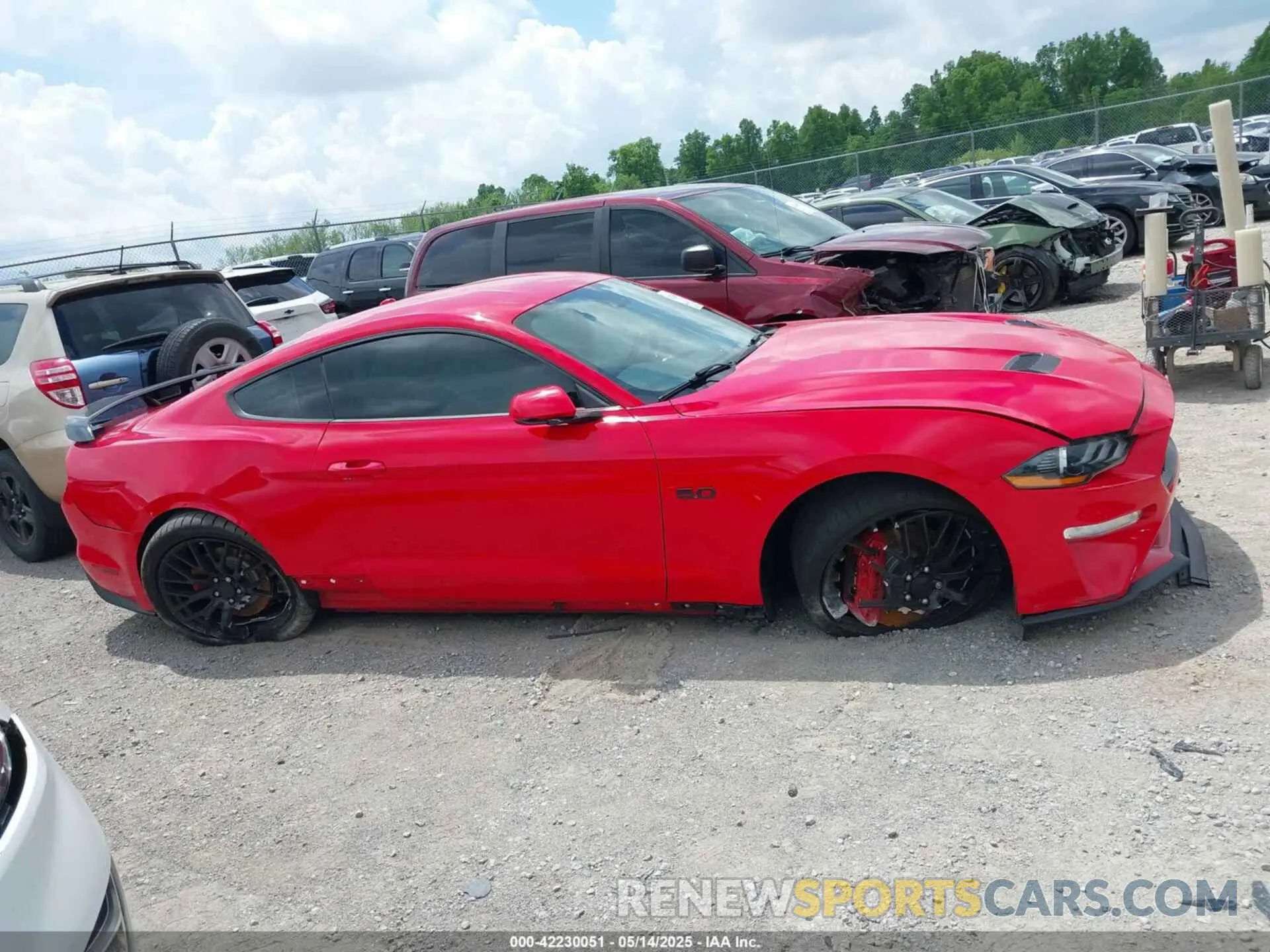 13 Photograph of a damaged car 1FA6P8CF7K5124590 FORD MUSTANG 2019