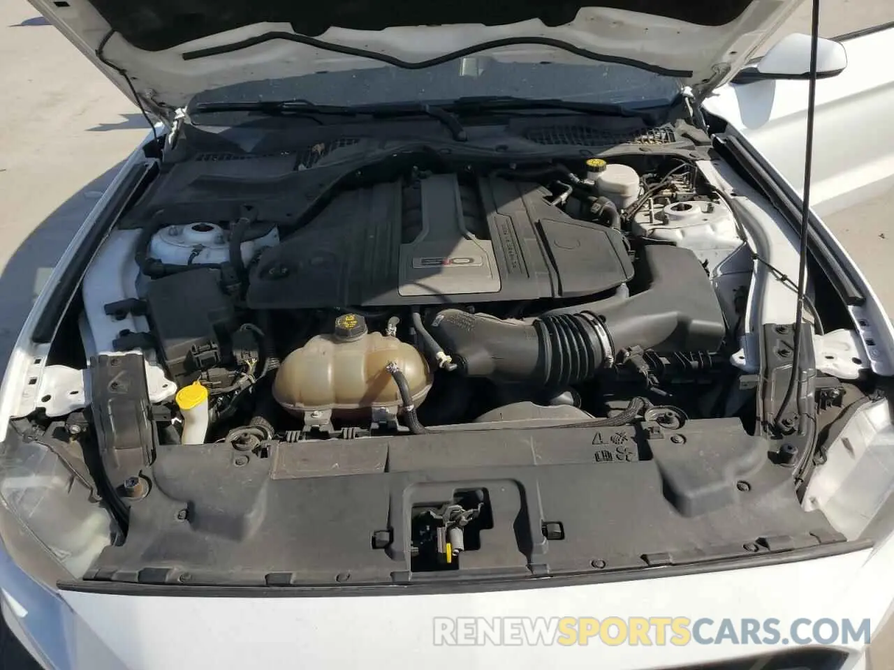 11 Photograph of a damaged car 1FA6P8CF7K5144144 FORD MUSTANG 2019
