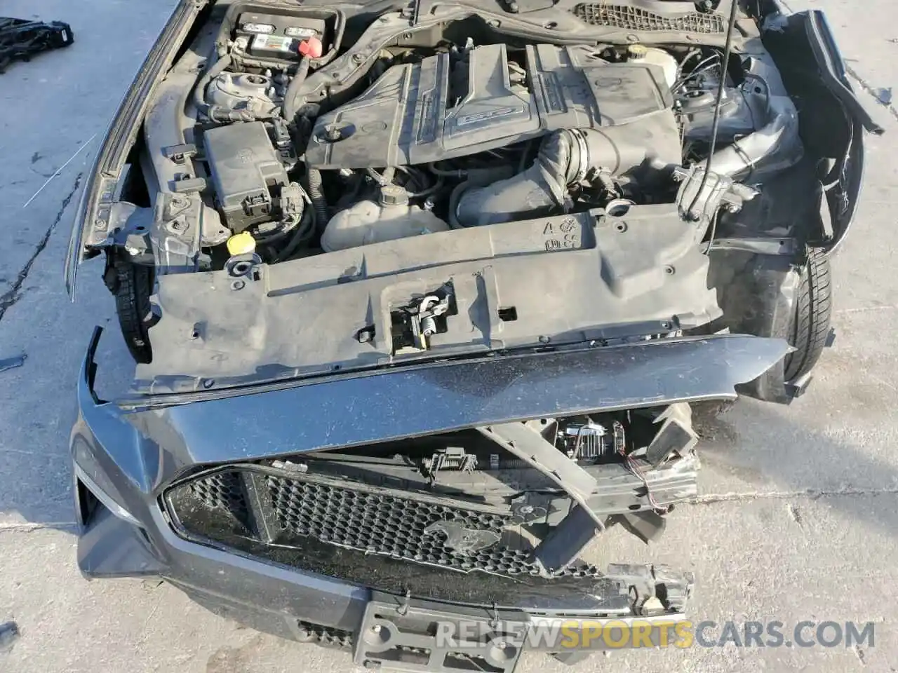 11 Photograph of a damaged car 1FA6P8CF7K5151188 FORD MUSTANG 2019