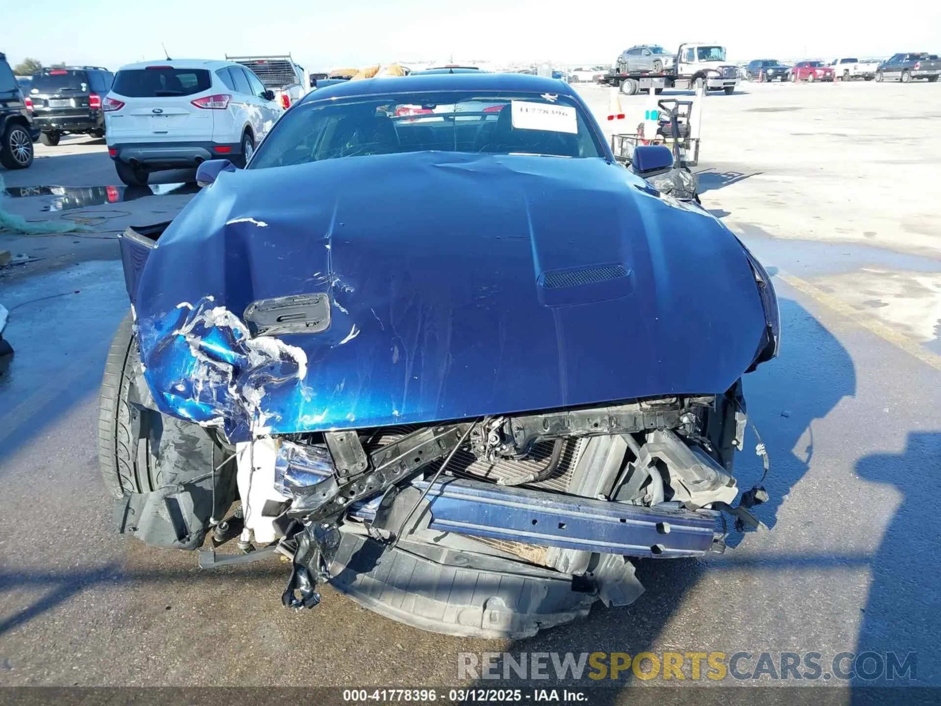 13 Photograph of a damaged car 1FA6P8CF7K5168301 FORD MUSTANG 2019