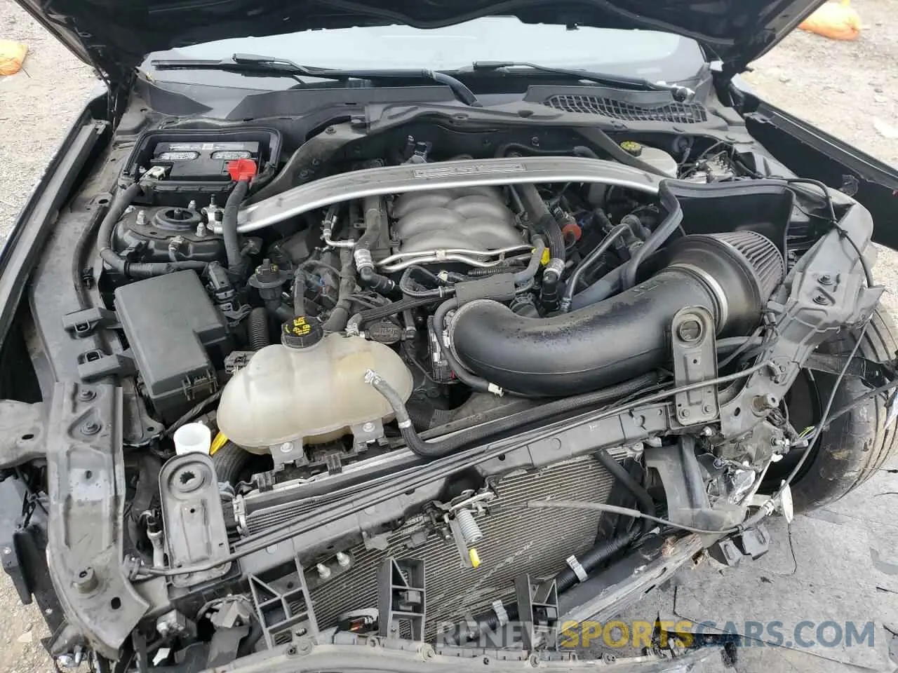 11 Photograph of a damaged car 1FA6P8CF7K5200700 FORD MUSTANG 2019