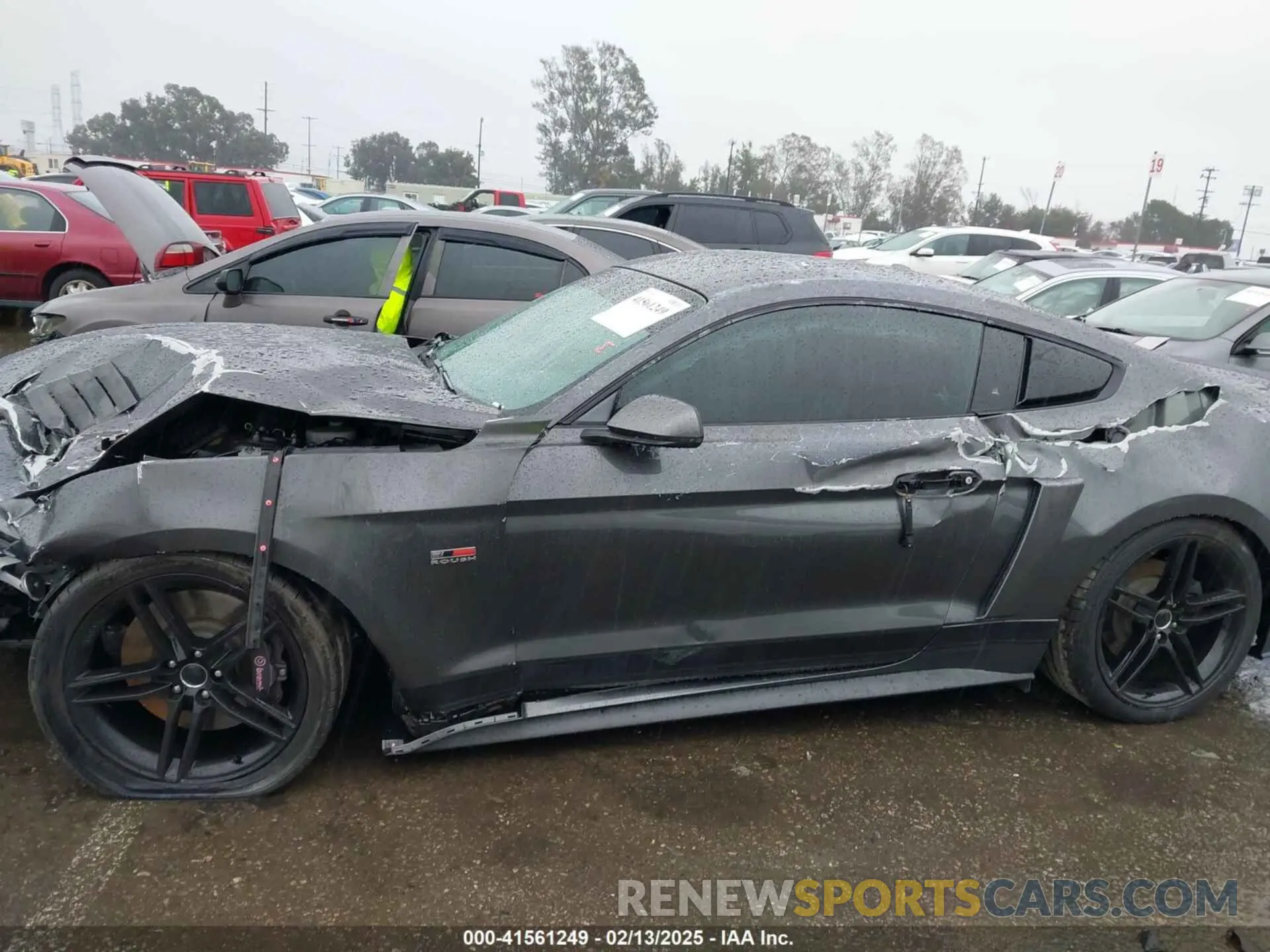 14 Photograph of a damaged car 1FA6P8CF9K5106575 FORD MUSTANG 2019