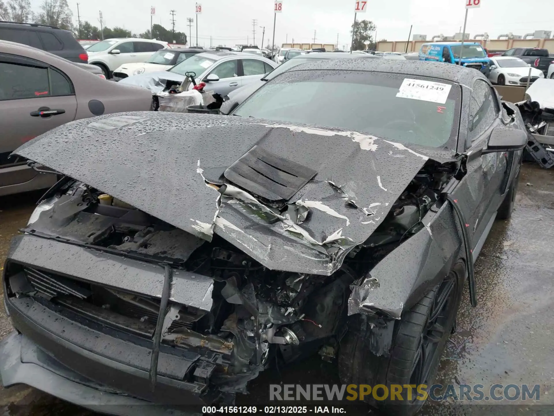 6 Photograph of a damaged car 1FA6P8CF9K5106575 FORD MUSTANG 2019