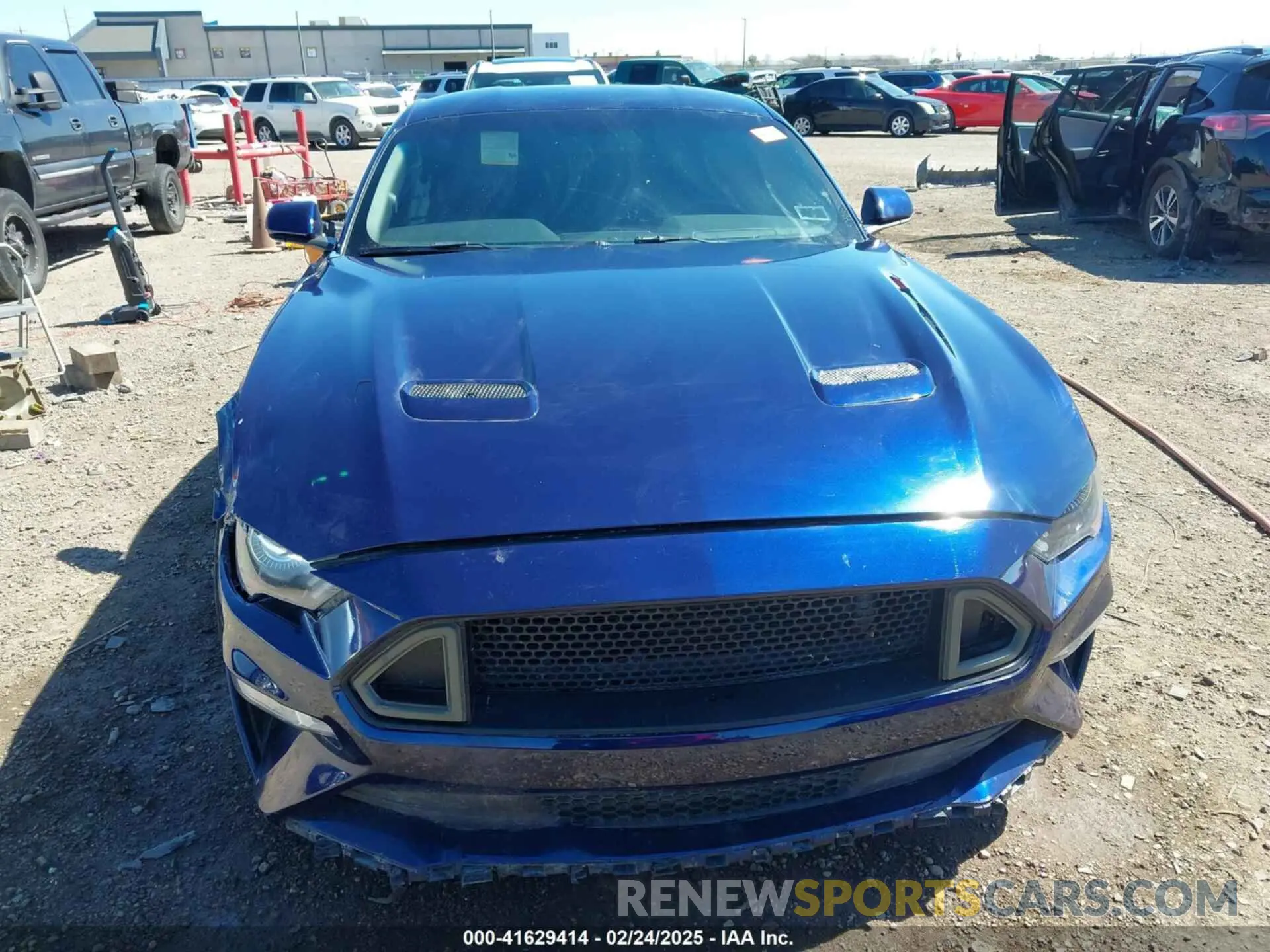 12 Photograph of a damaged car 1FA6P8CF9K5135798 FORD MUSTANG 2019
