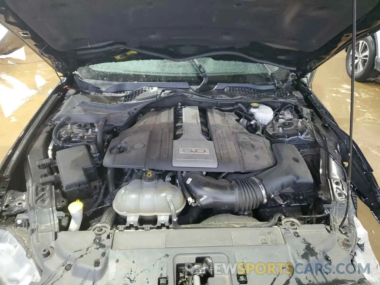 12 Photograph of a damaged car 1FA6P8CF9K5146803 FORD MUSTANG 2019