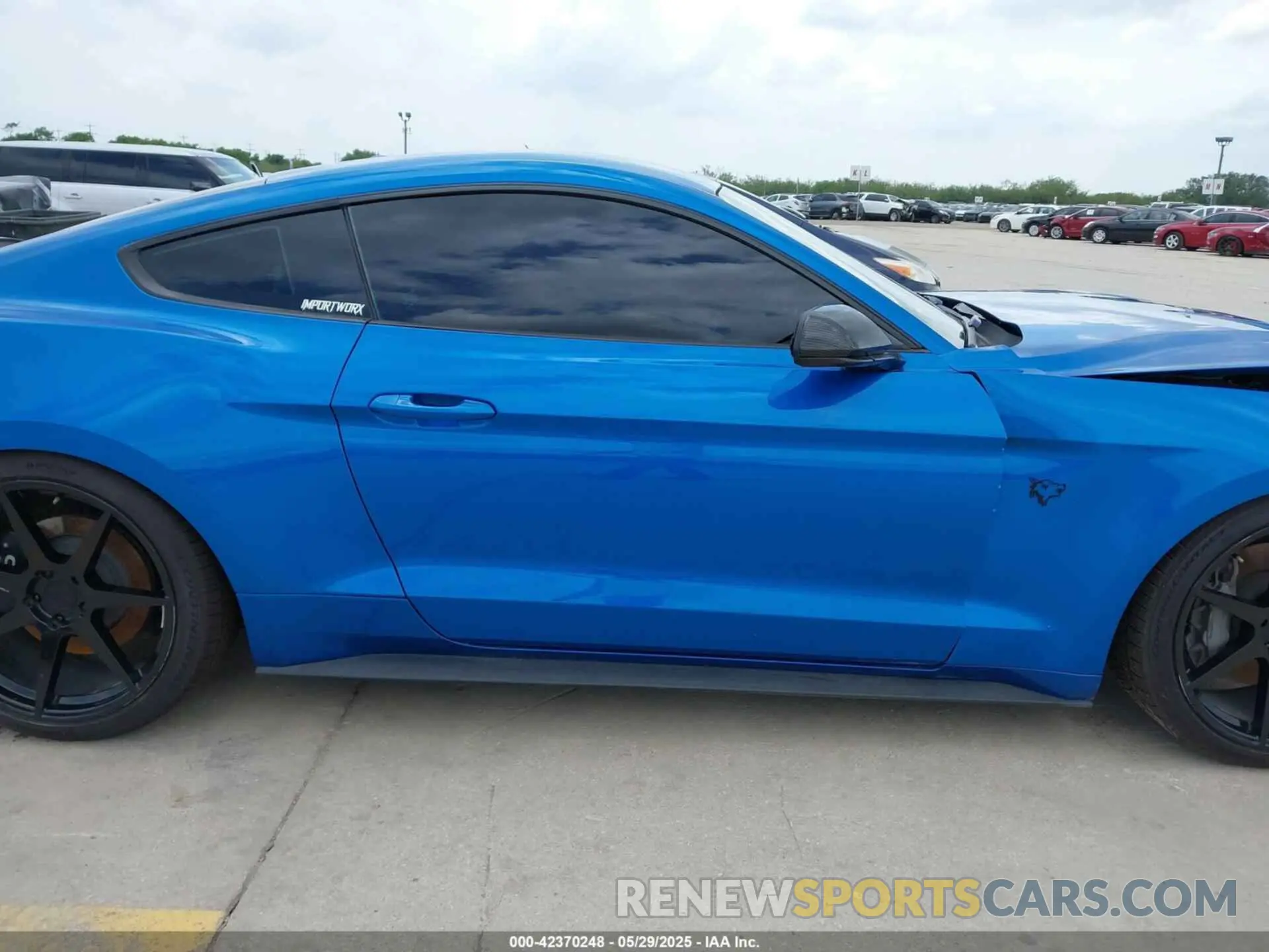 14 Photograph of a damaged car 1FA6P8CFXK5117889 FORD MUSTANG 2019