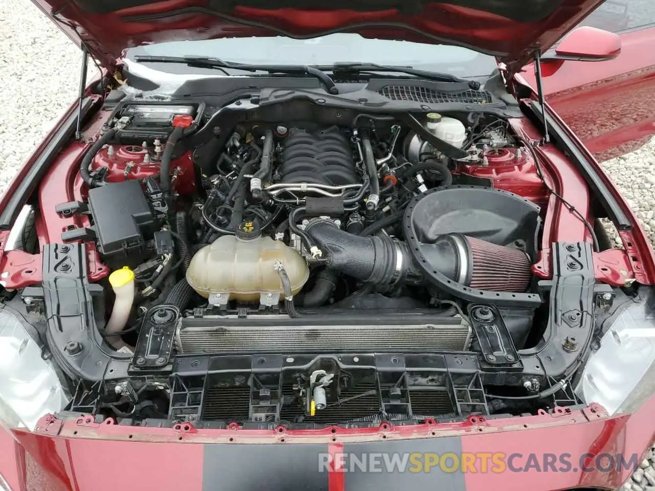13 Photograph of a damaged car 1FA6P8CFXK5122283 FORD MUSTANG 2019