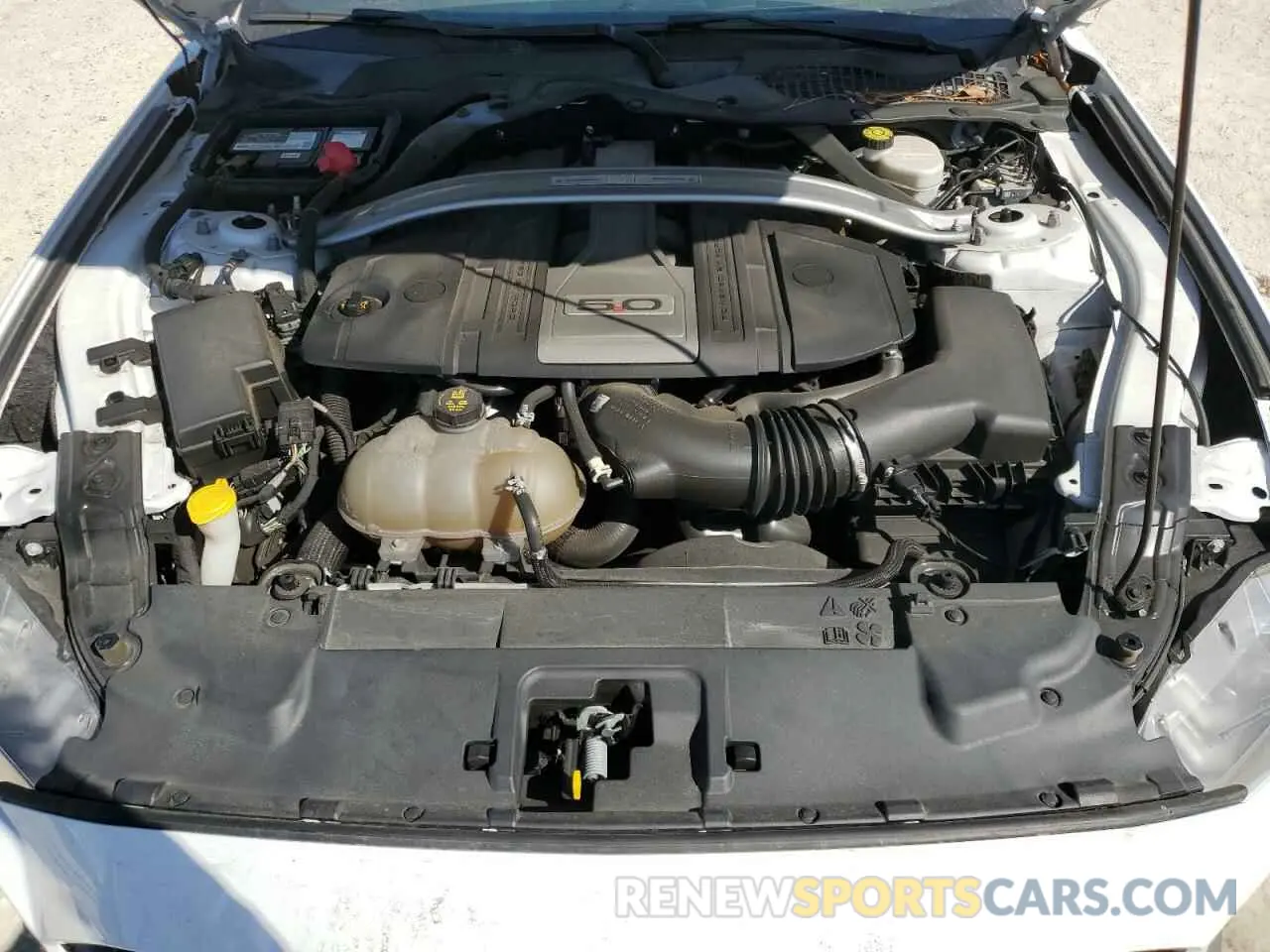 13 Photograph of a damaged car 1FA6P8CFXK5124549 FORD MUSTANG 2019