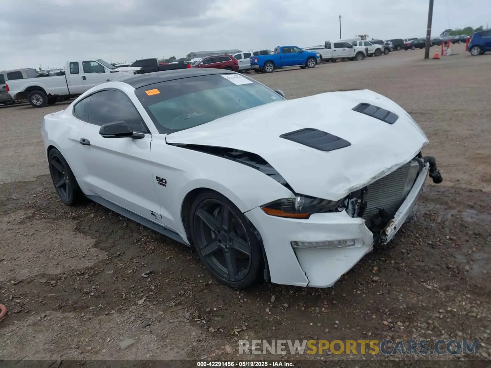 1 Photograph of a damaged car 1FA6P8CFXK5130996 FORD MUSTANG 2019