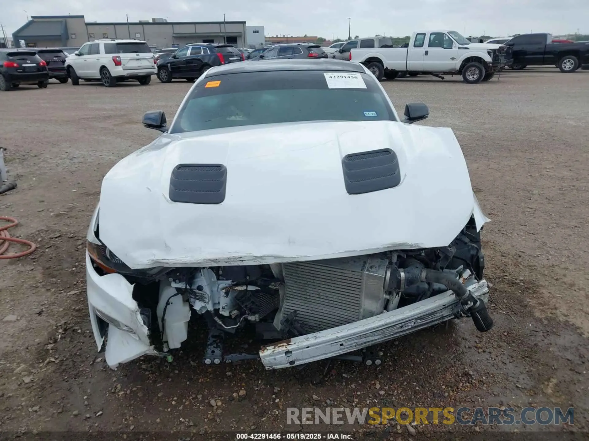 12 Photograph of a damaged car 1FA6P8CFXK5130996 FORD MUSTANG 2019