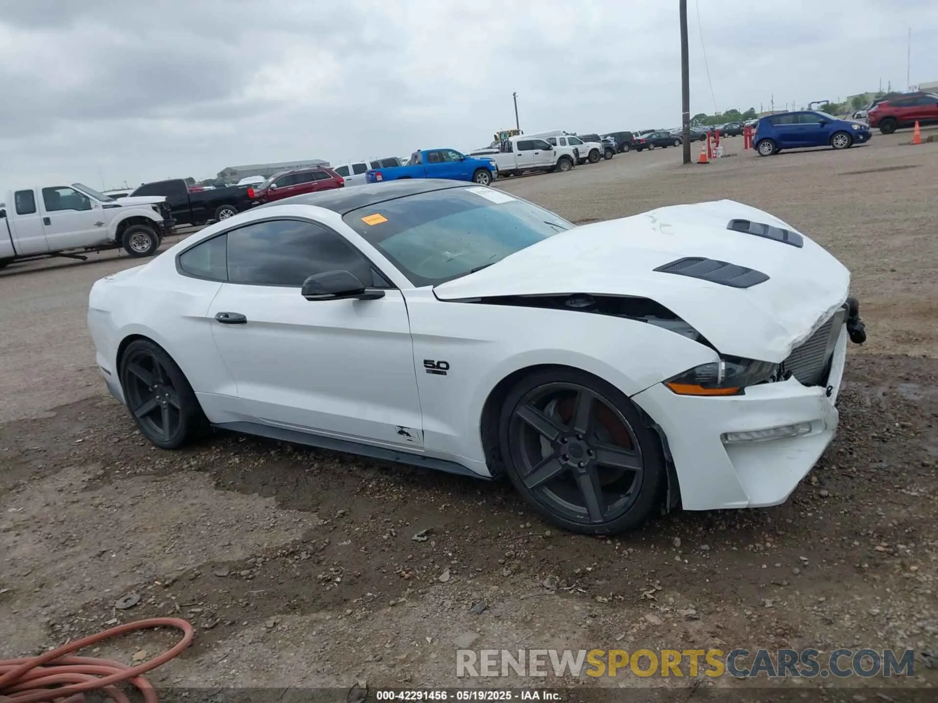 13 Photograph of a damaged car 1FA6P8CFXK5130996 FORD MUSTANG 2019