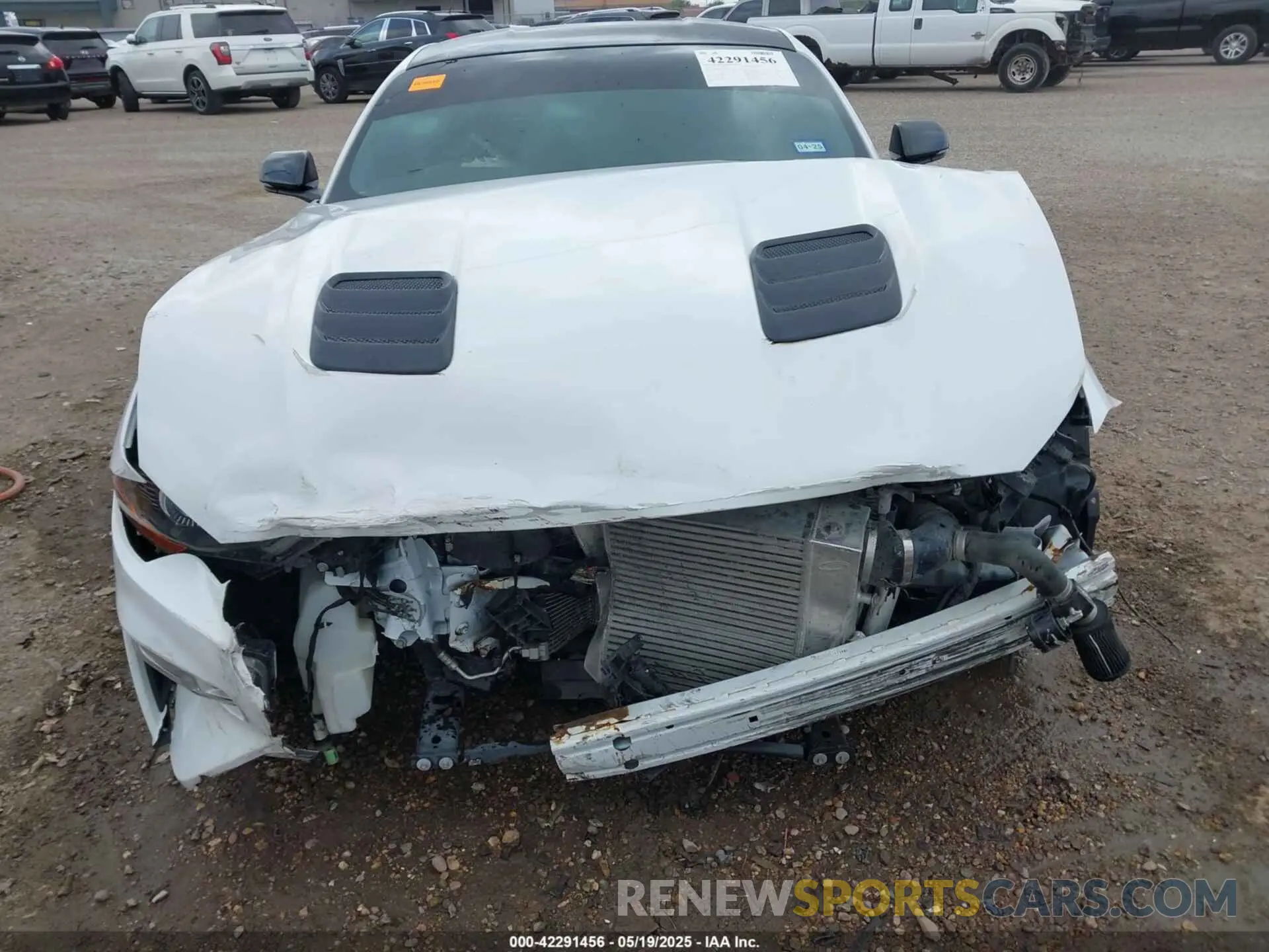 6 Photograph of a damaged car 1FA6P8CFXK5130996 FORD MUSTANG 2019