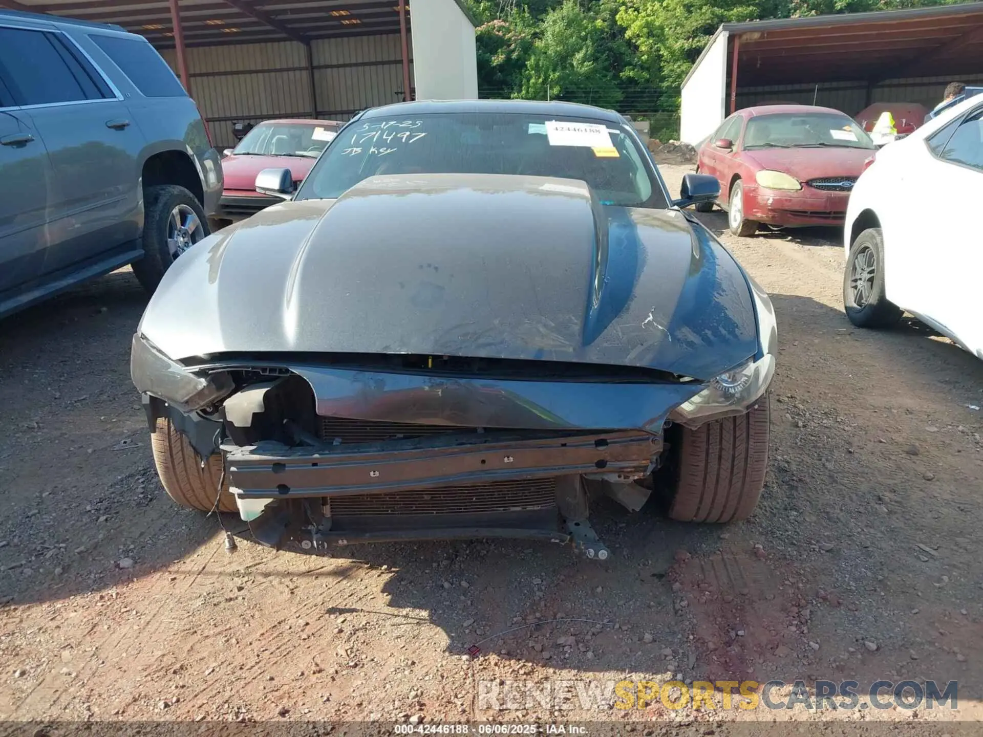 12 Photograph of a damaged car 1FA6P8CFXK5134045 FORD MUSTANG 2019
