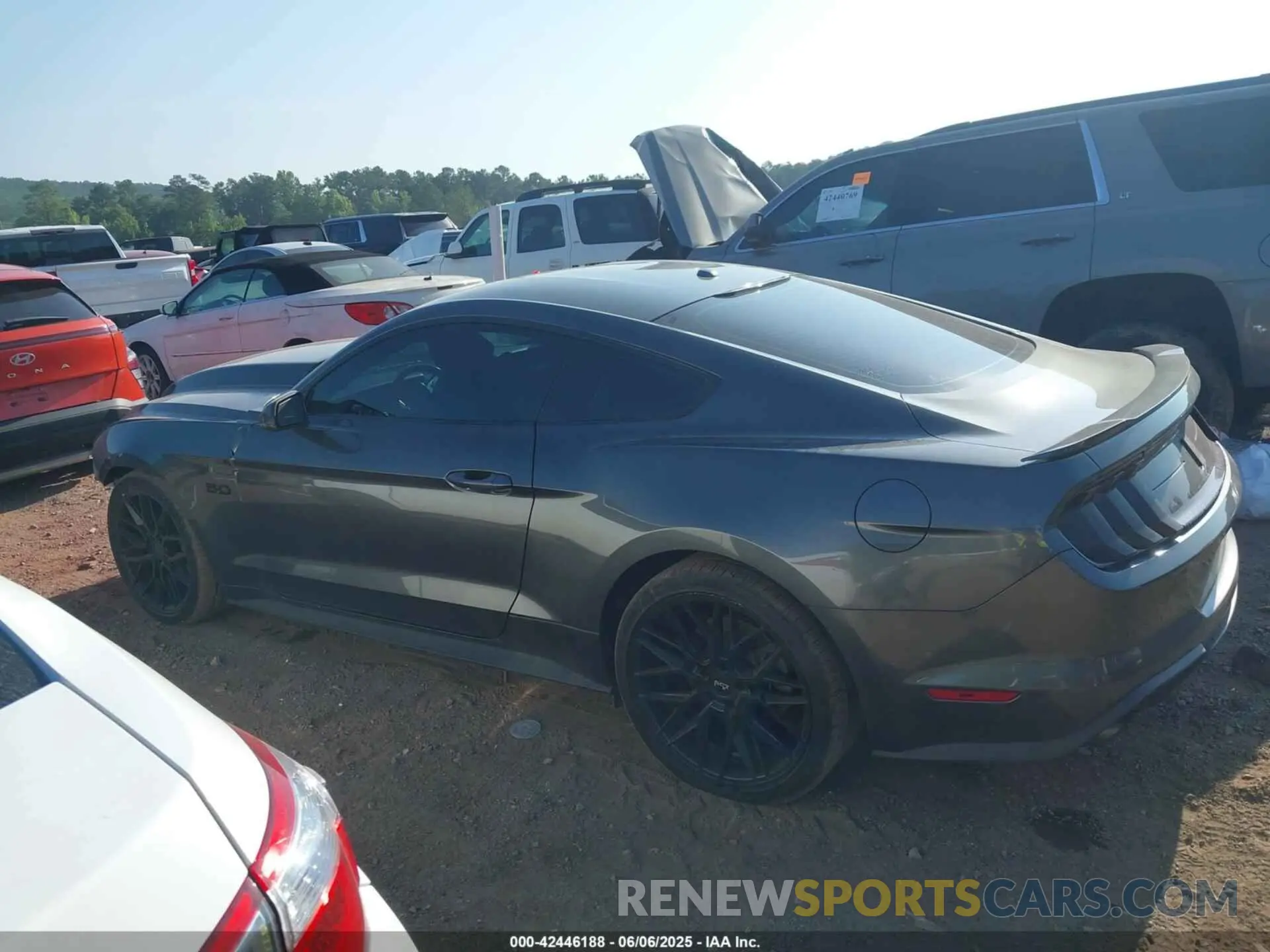 14 Photograph of a damaged car 1FA6P8CFXK5134045 FORD MUSTANG 2019