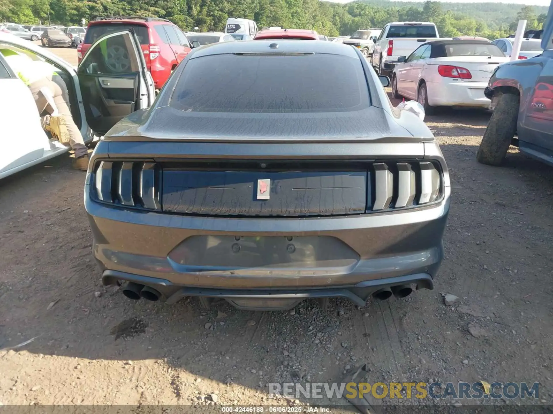 16 Photograph of a damaged car 1FA6P8CFXK5134045 FORD MUSTANG 2019