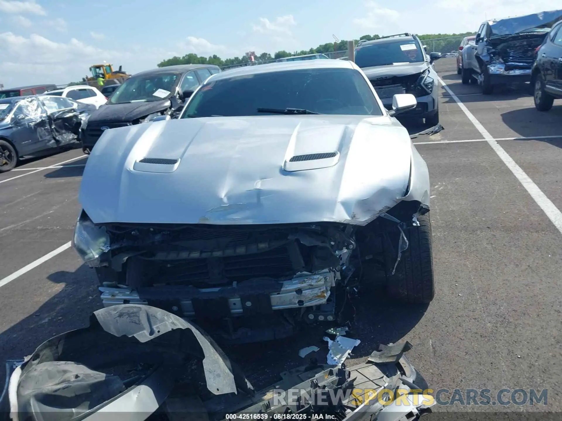 12 Photograph of a damaged car 1FA6P8CFXK5151458 FORD MUSTANG 2019