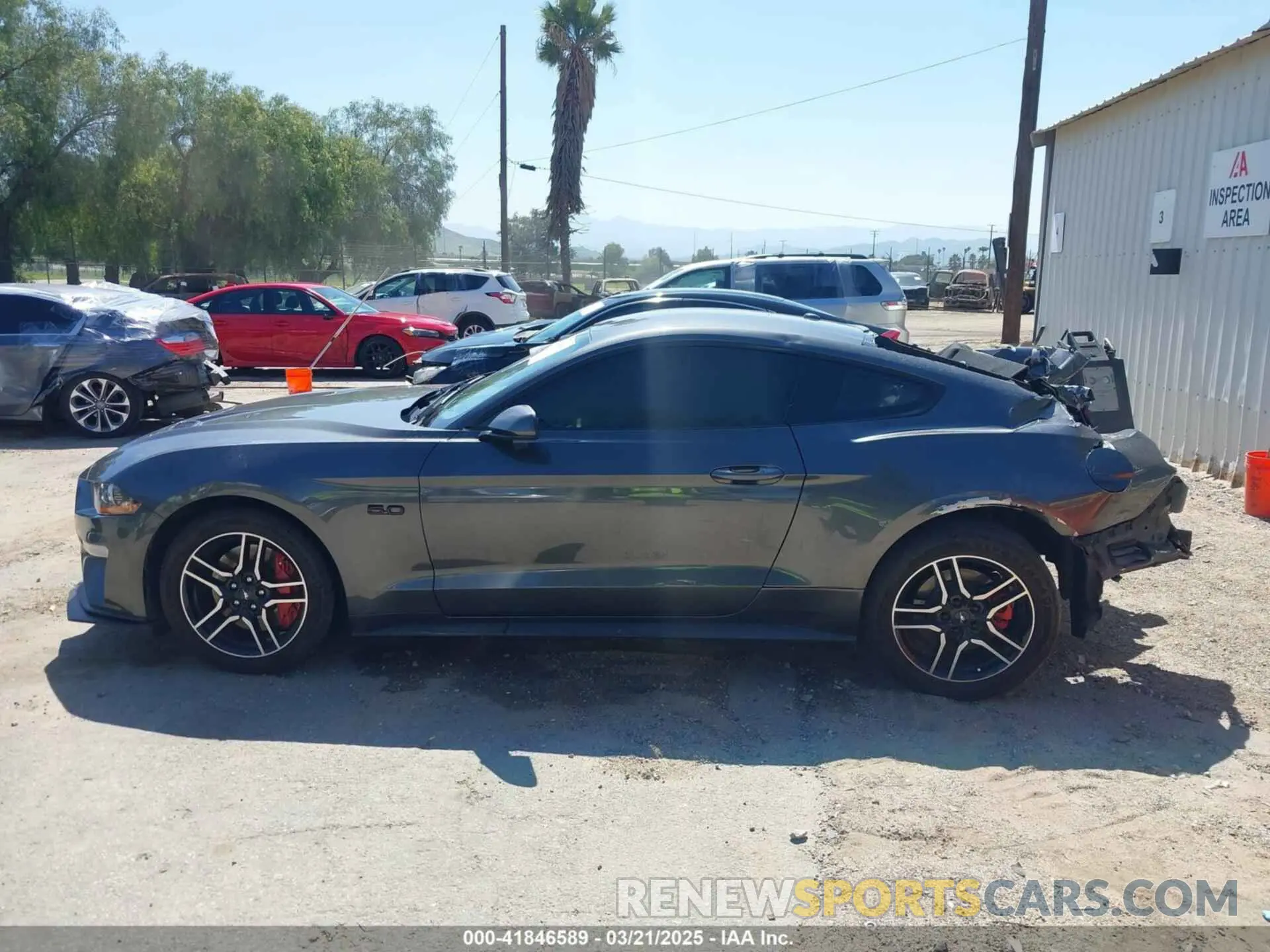 13 Photograph of a damaged car 1FA6P8CFXK5178319 FORD MUSTANG 2019