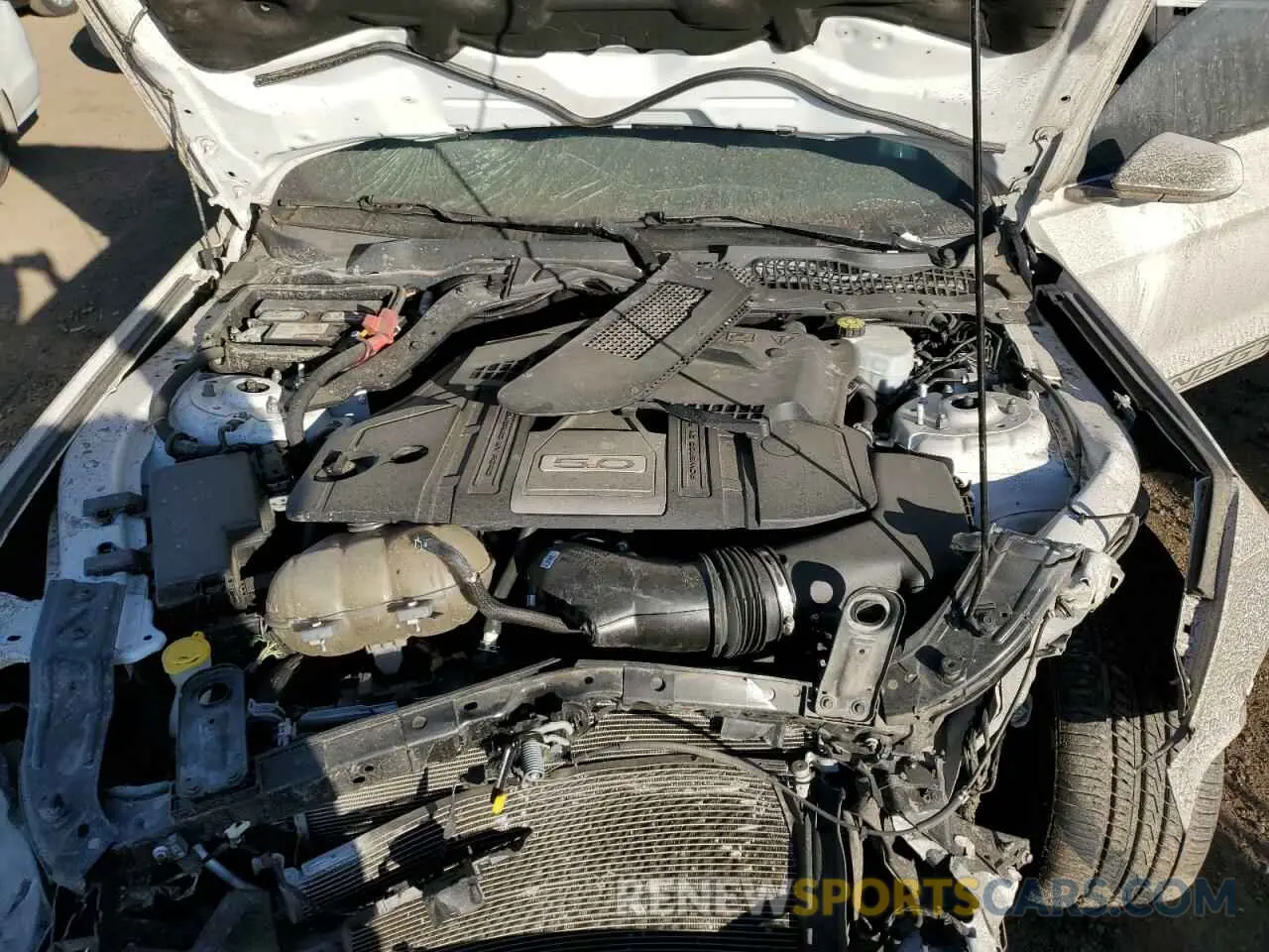 11 Photograph of a damaged car 1FA6P8CFXK5197548 FORD MUSTANG 2019