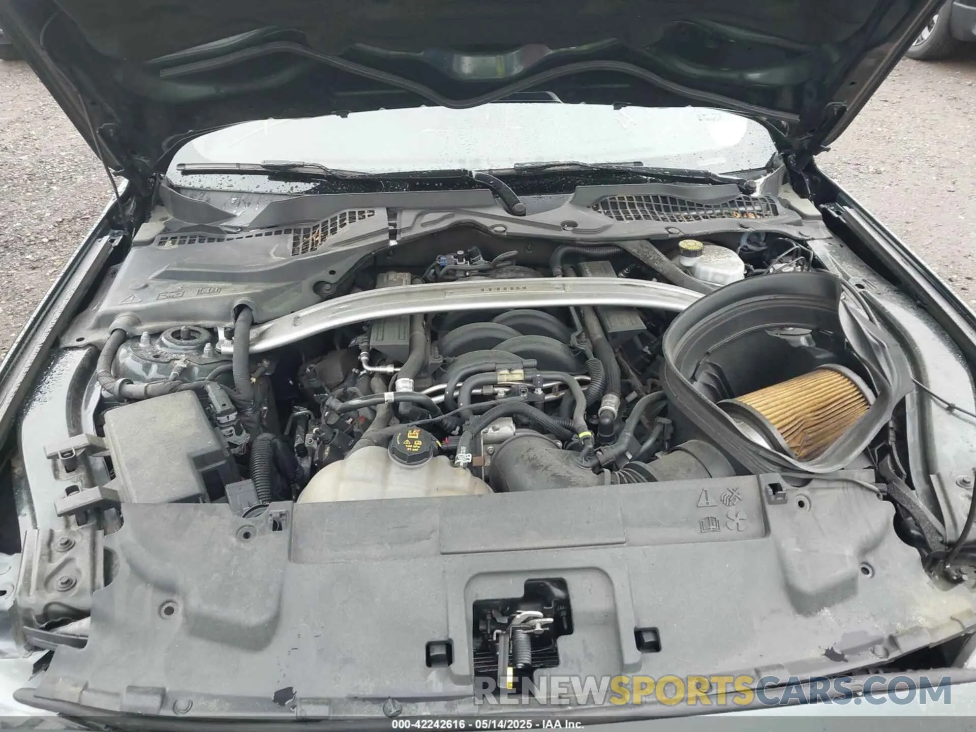 10 Photograph of a damaged car 1FA6P8K02K5500707 FORD MUSTANG 2019