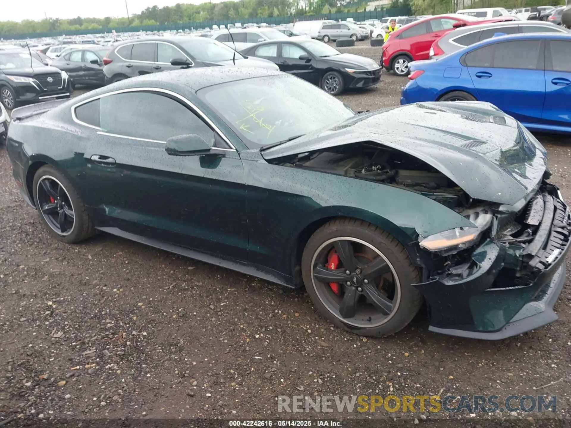 13 Photograph of a damaged car 1FA6P8K02K5500707 FORD MUSTANG 2019