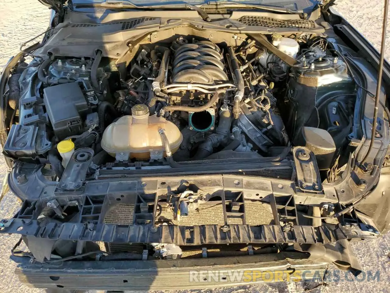 12 Photograph of a damaged car 1FA6P8K05K5502645 FORD MUSTANG 2019